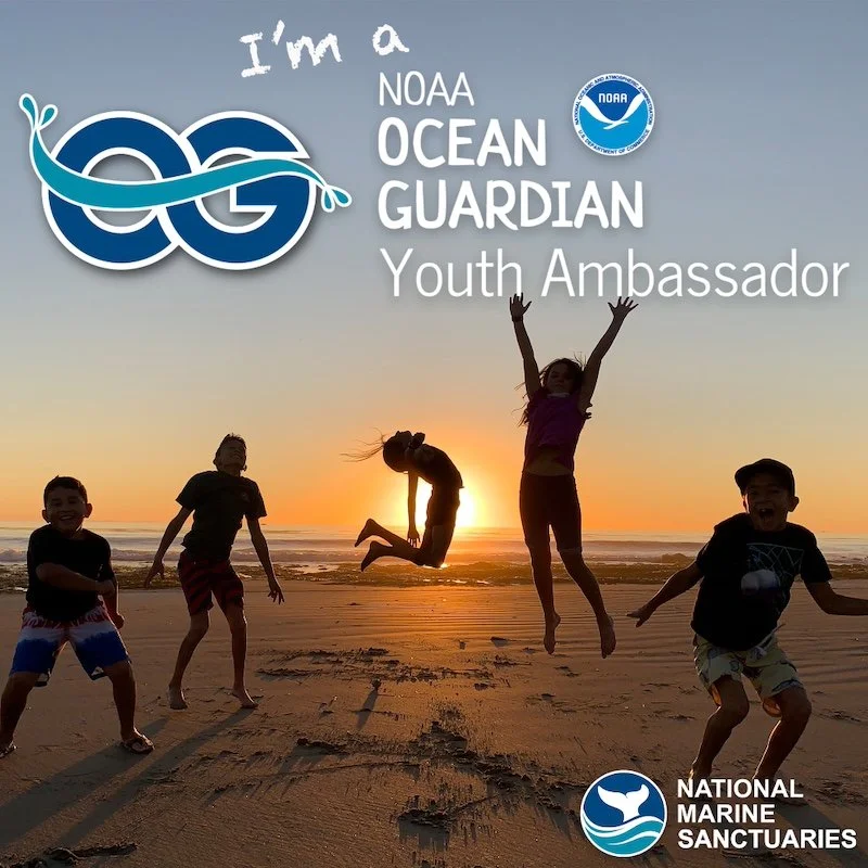 NOAA Teen Ocean Ambassadors -Applications Open 