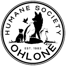 images (5).png