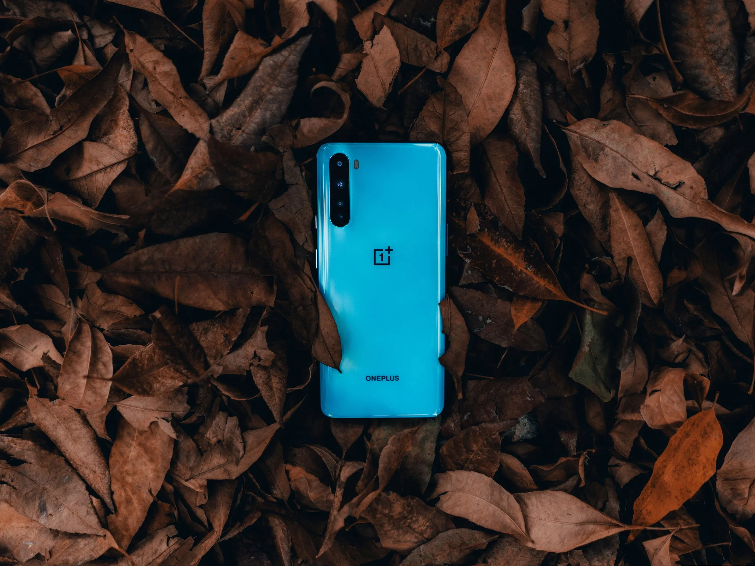 Fotografía de producto OnePlus Nord, smartphone azul sobre hojas secas otoñales