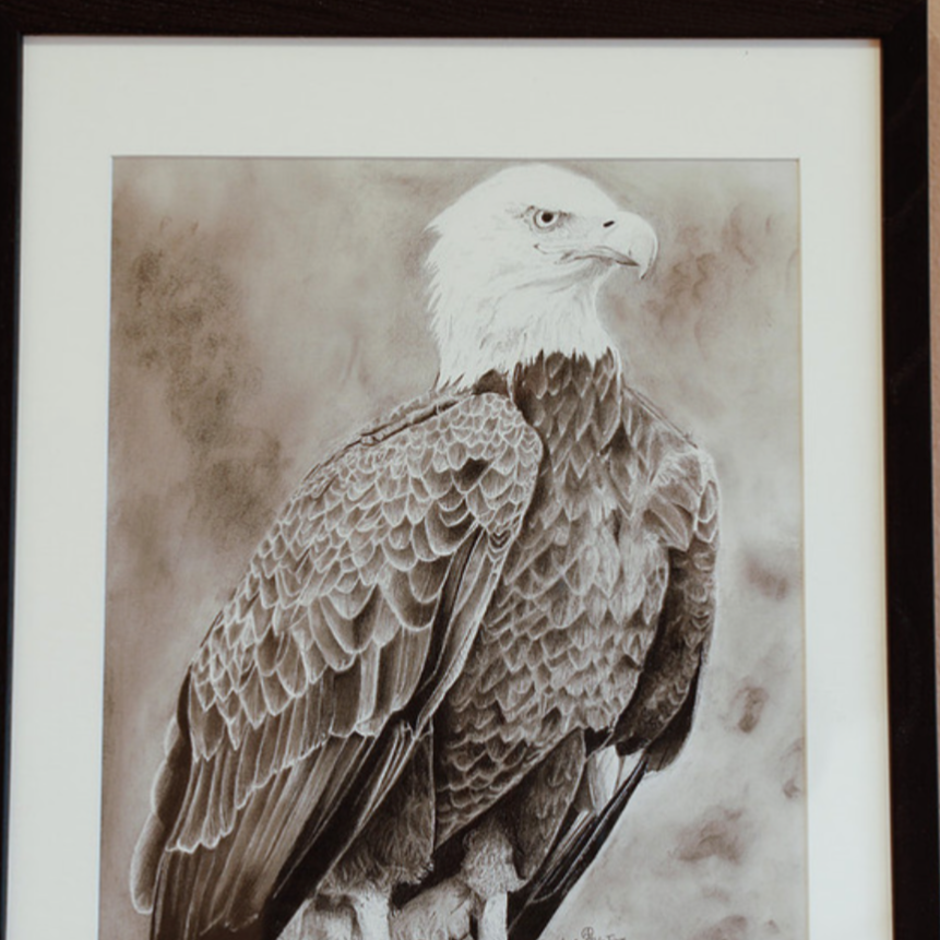 All types of Animals