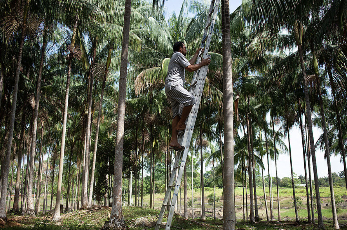 Screen Shot 2024-02-18 at 7.34.22 PM.png