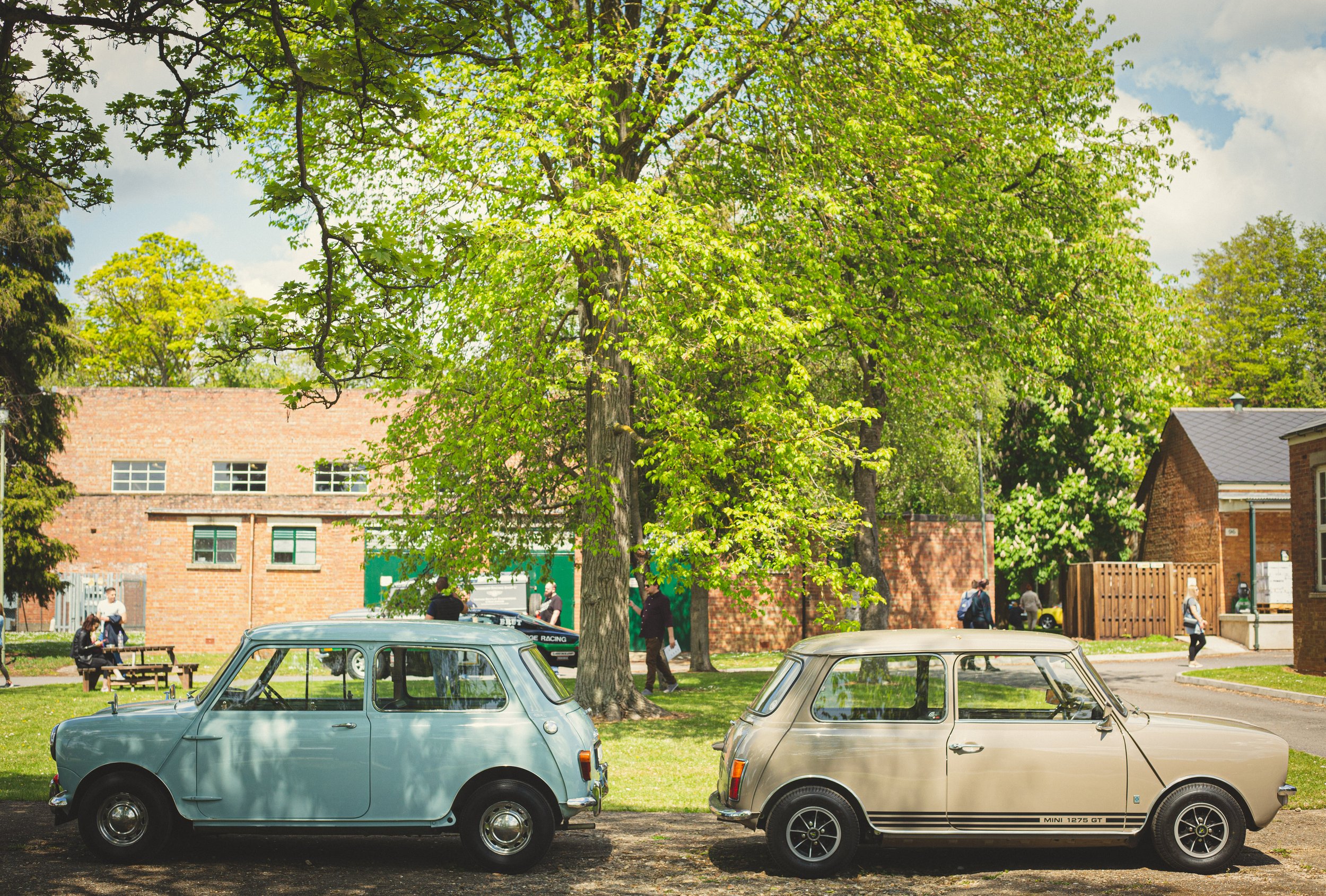 Two vintage Mini Cooper cars parked under a large green tree in a park, with people walking, trees, and brick buildings in the background.