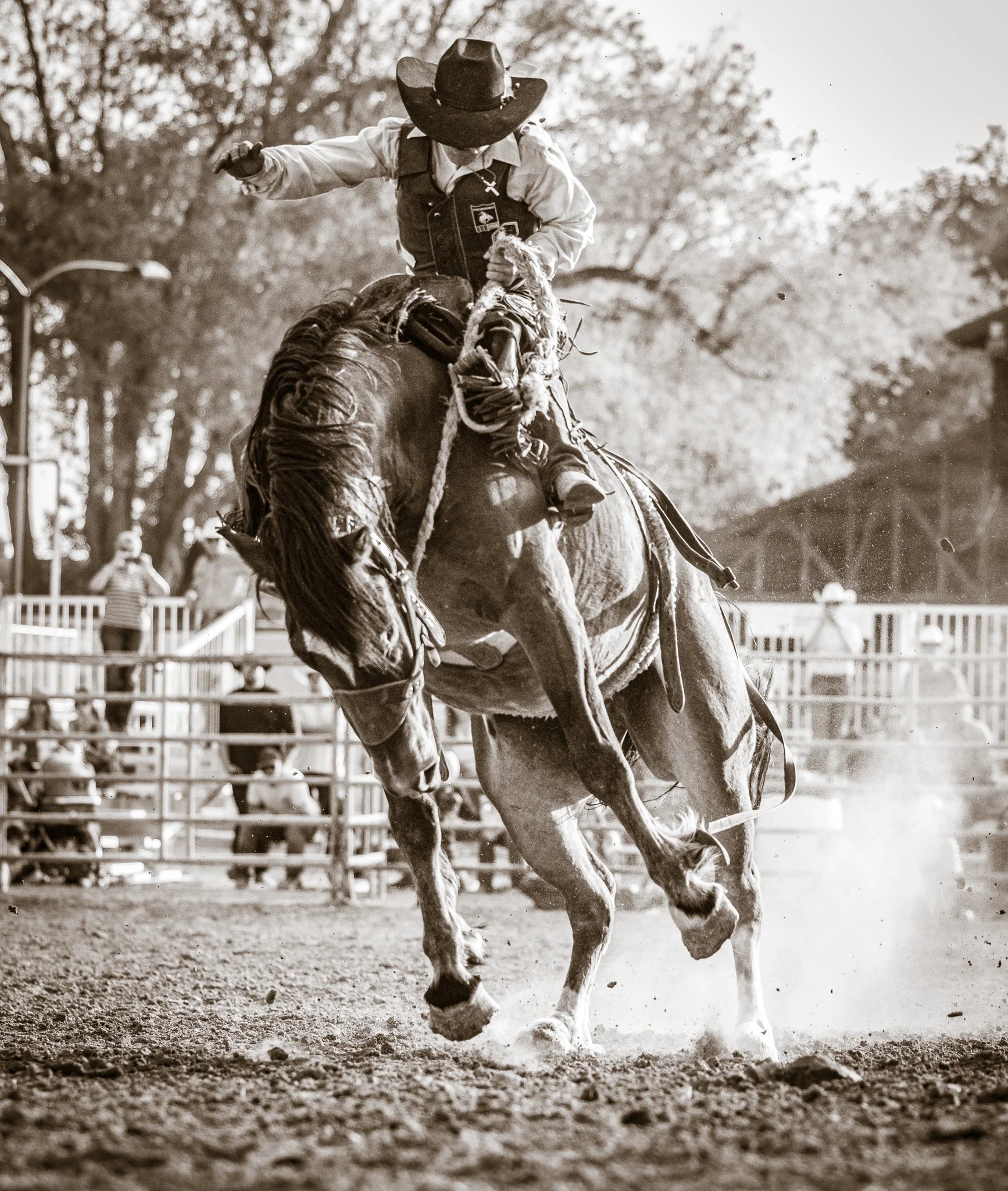 Saddle Bronc Entry