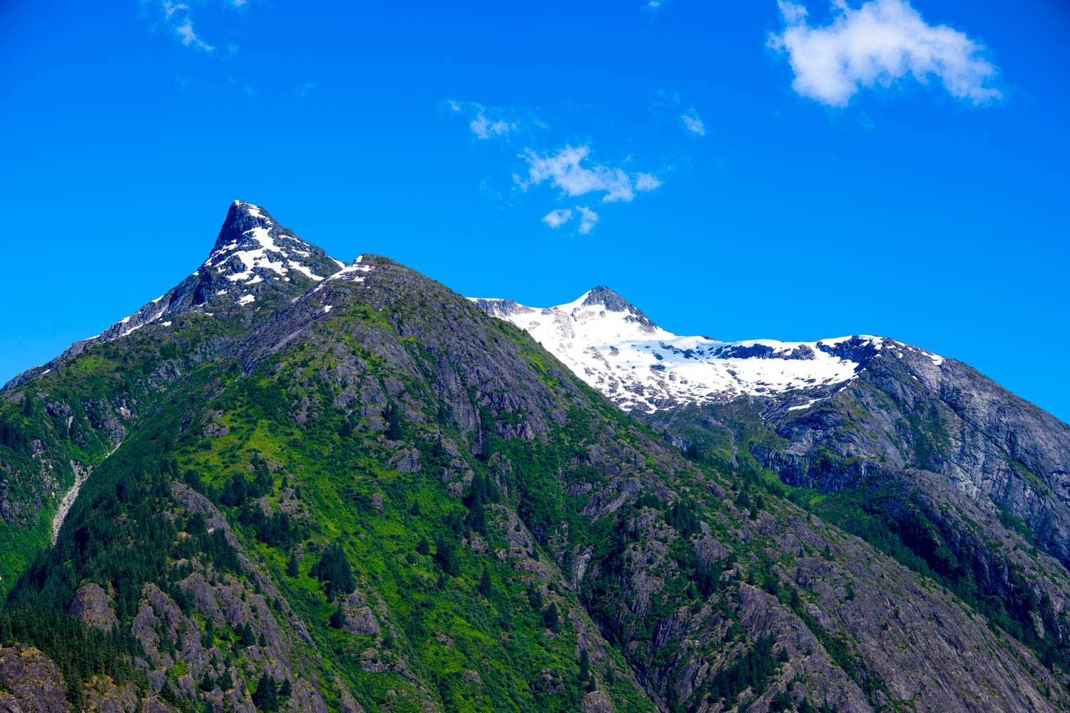 B00026043FR1785017280.jpg