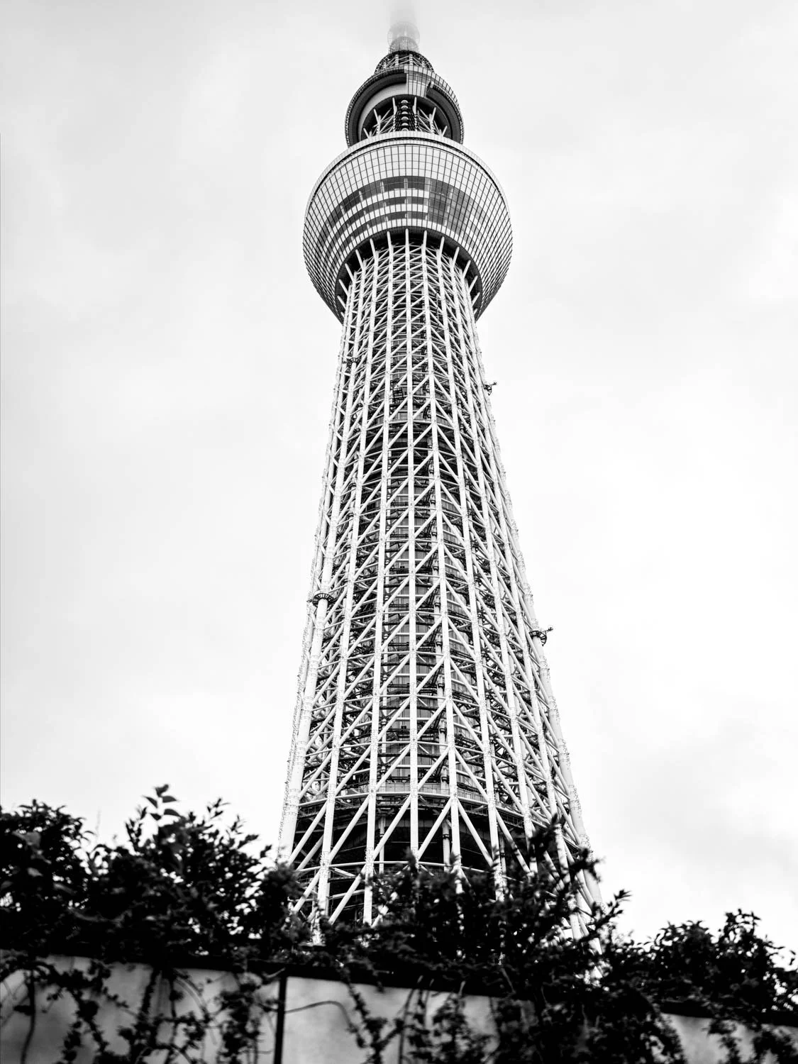 B00021443FR1780970407.jpg