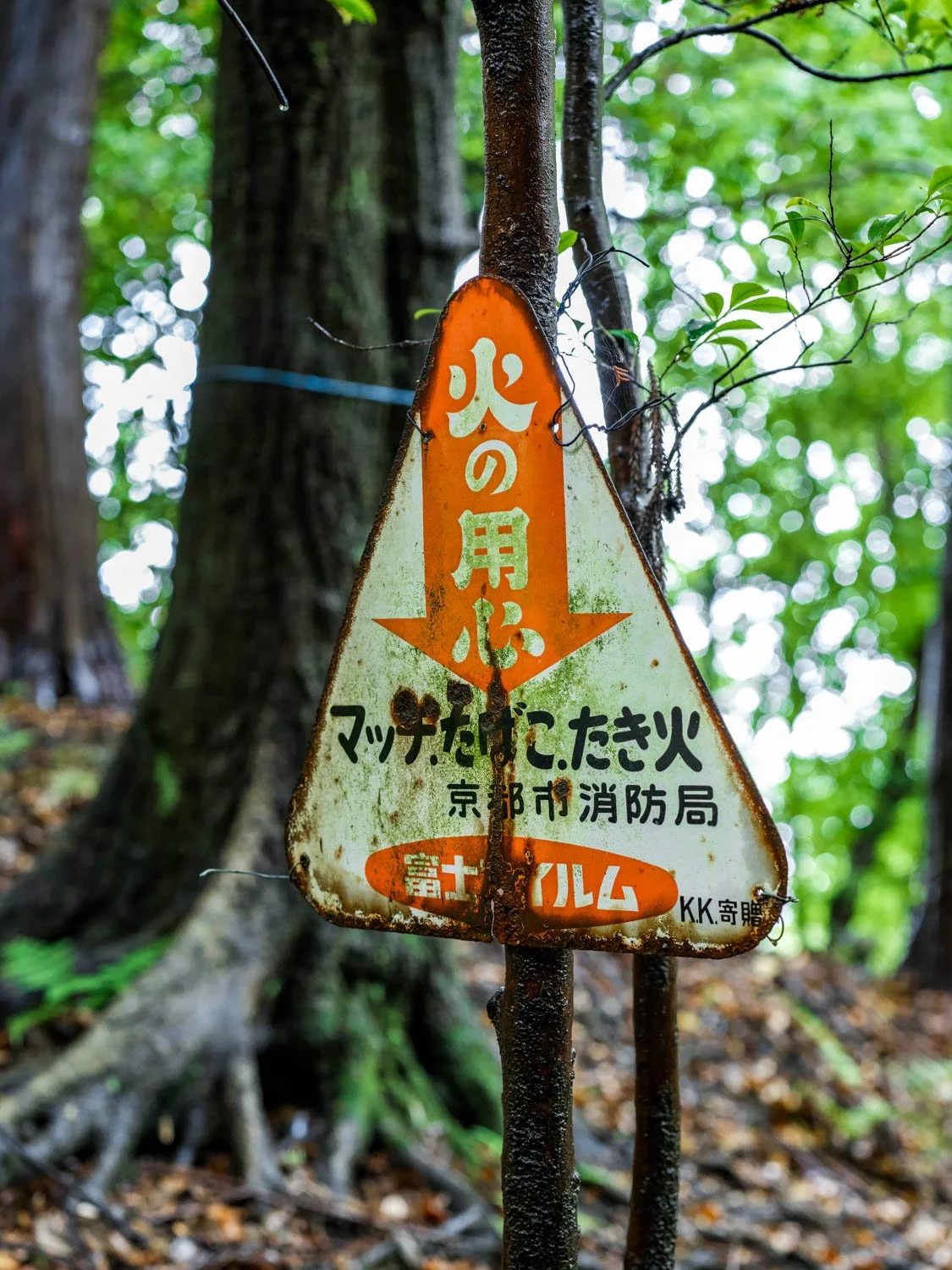 B00015523FR1780443341.jpg