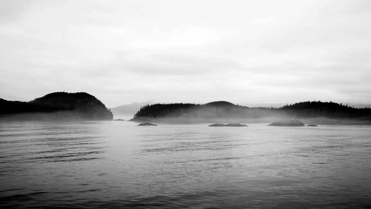 L1003041.jpg