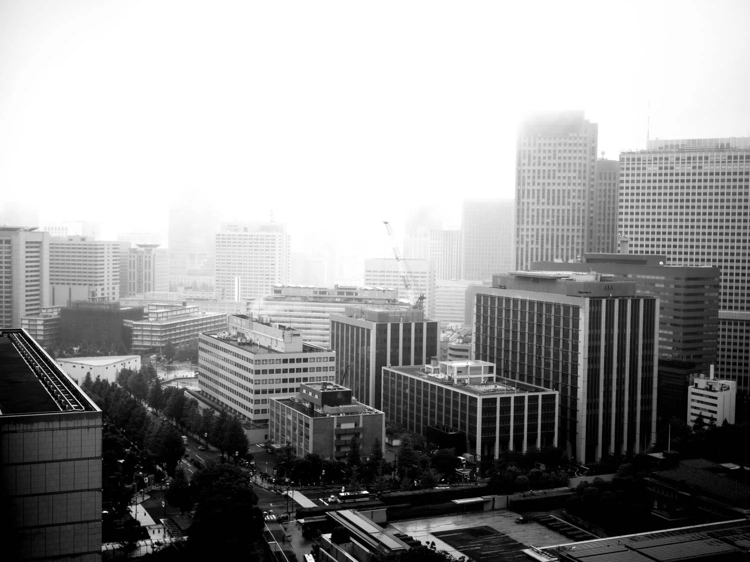 B00019613FR1780877417.jpg