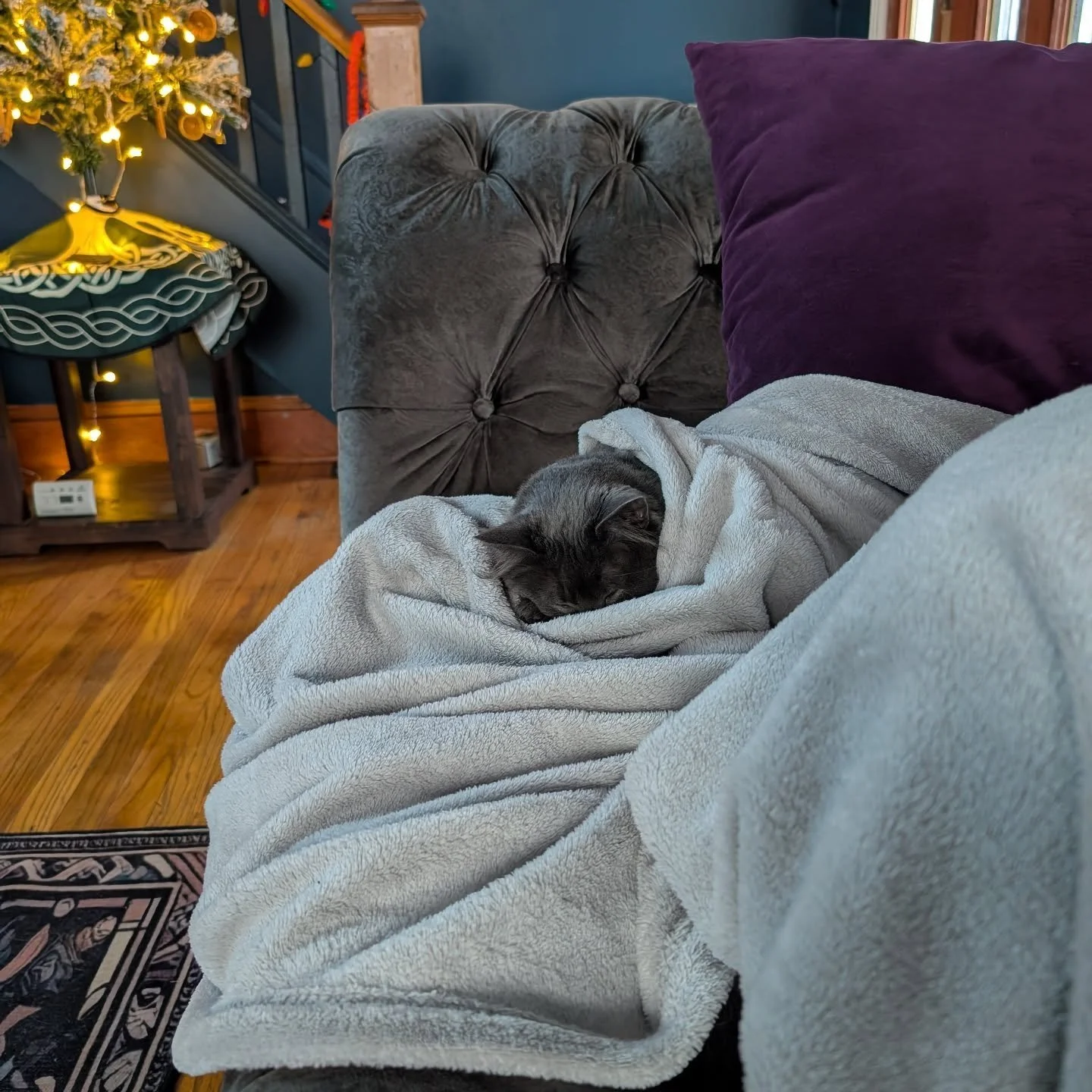 The game is called How Long Can I Get Freyja to Cuddle with Me and I'm proud to report that I'm winning.