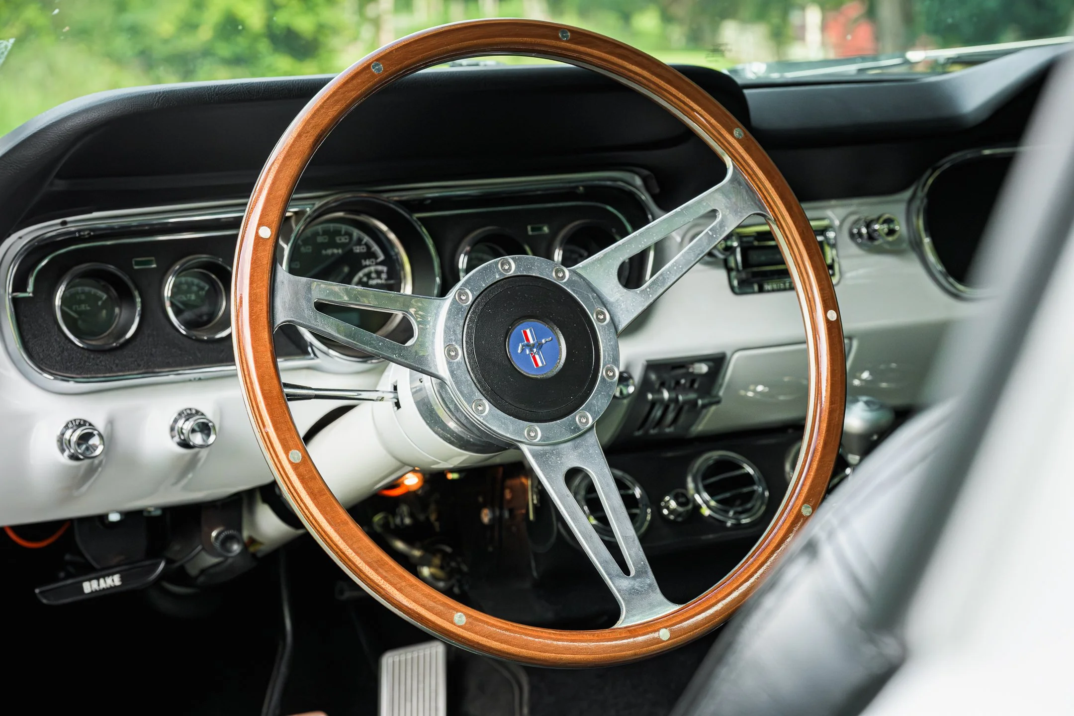 Mustang-67.jpg