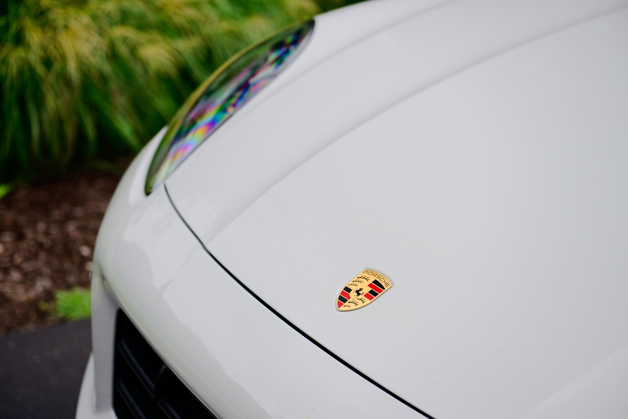 C GTS-13.jpg