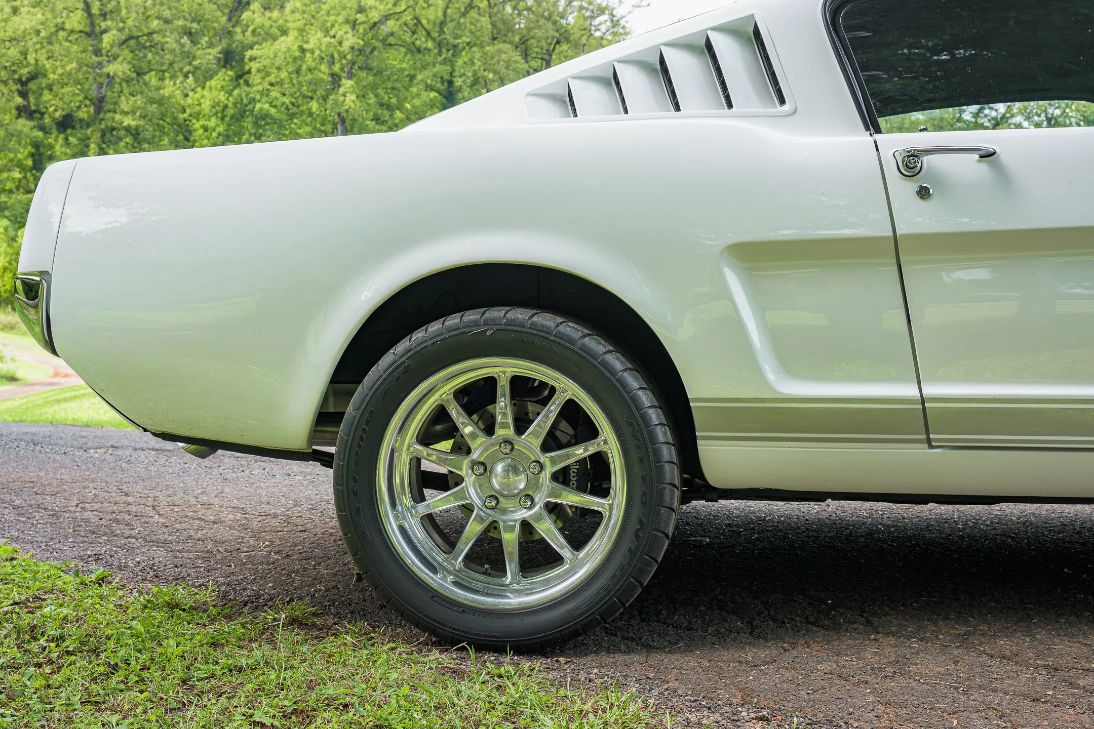 Mustang-37.jpg