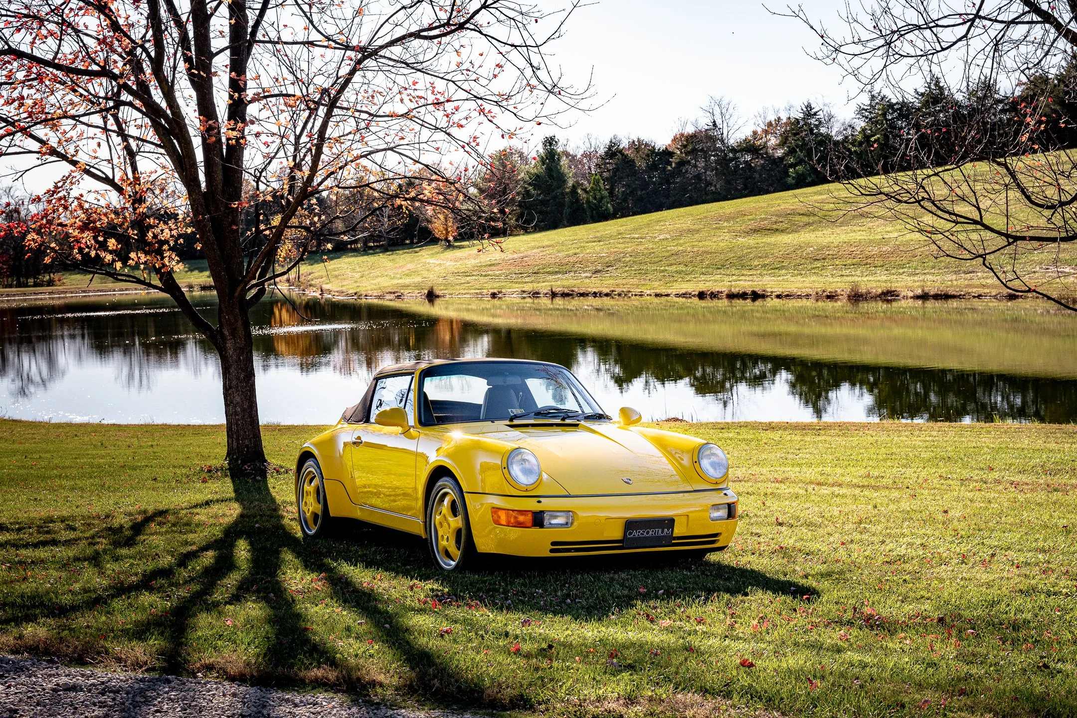 Roadster-6.jpg