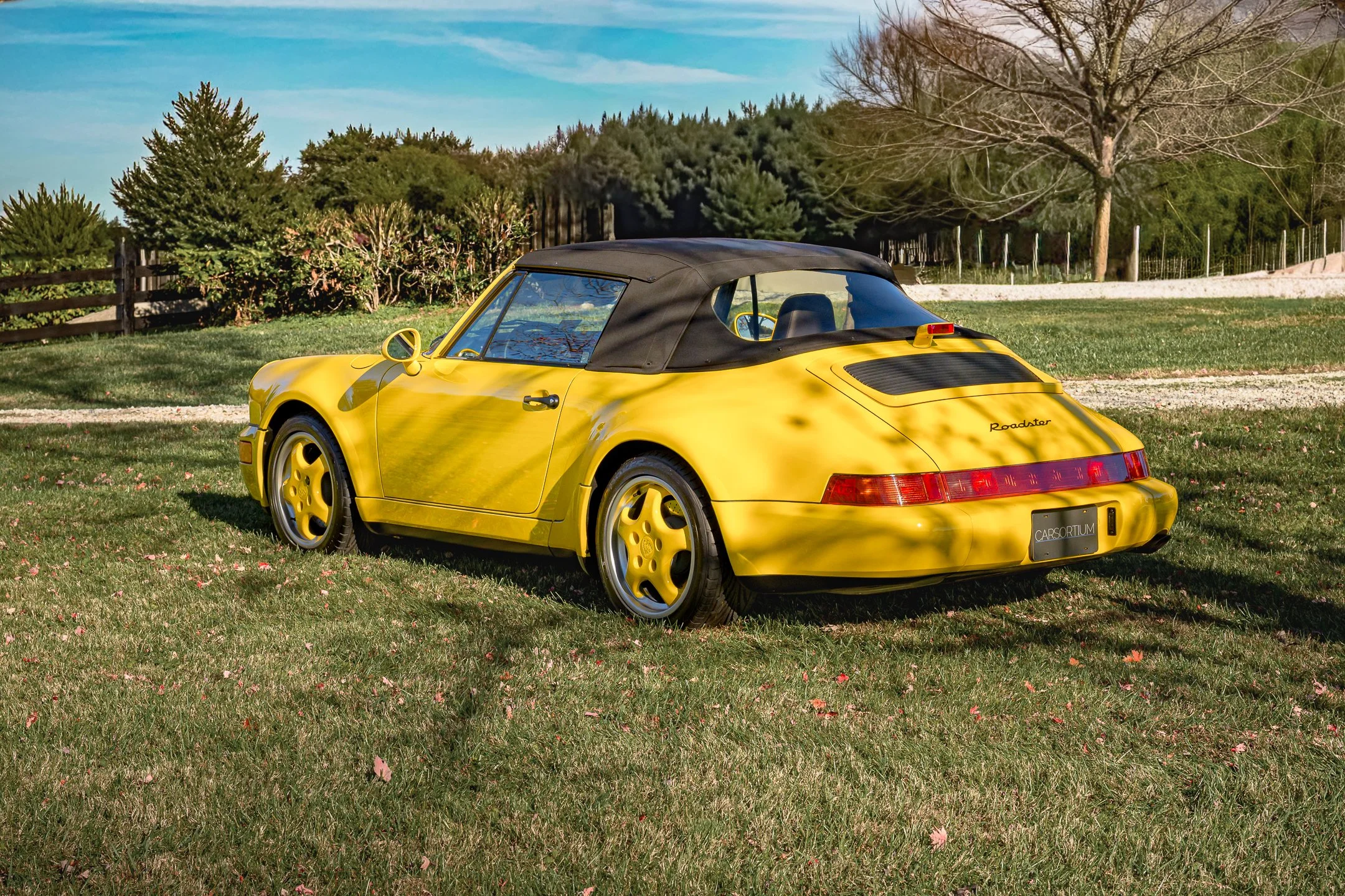 Roadster-12.jpg