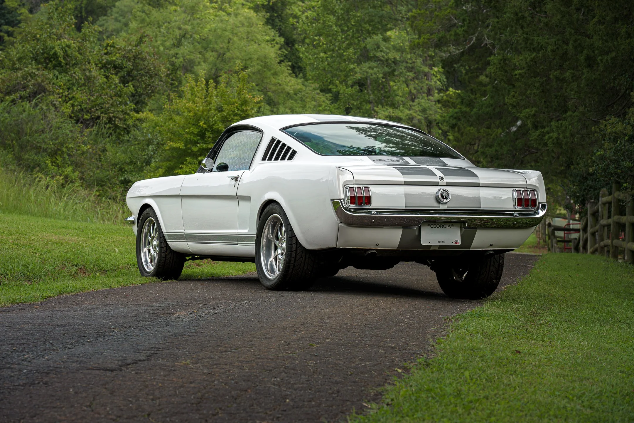 Mustang-18.jpg