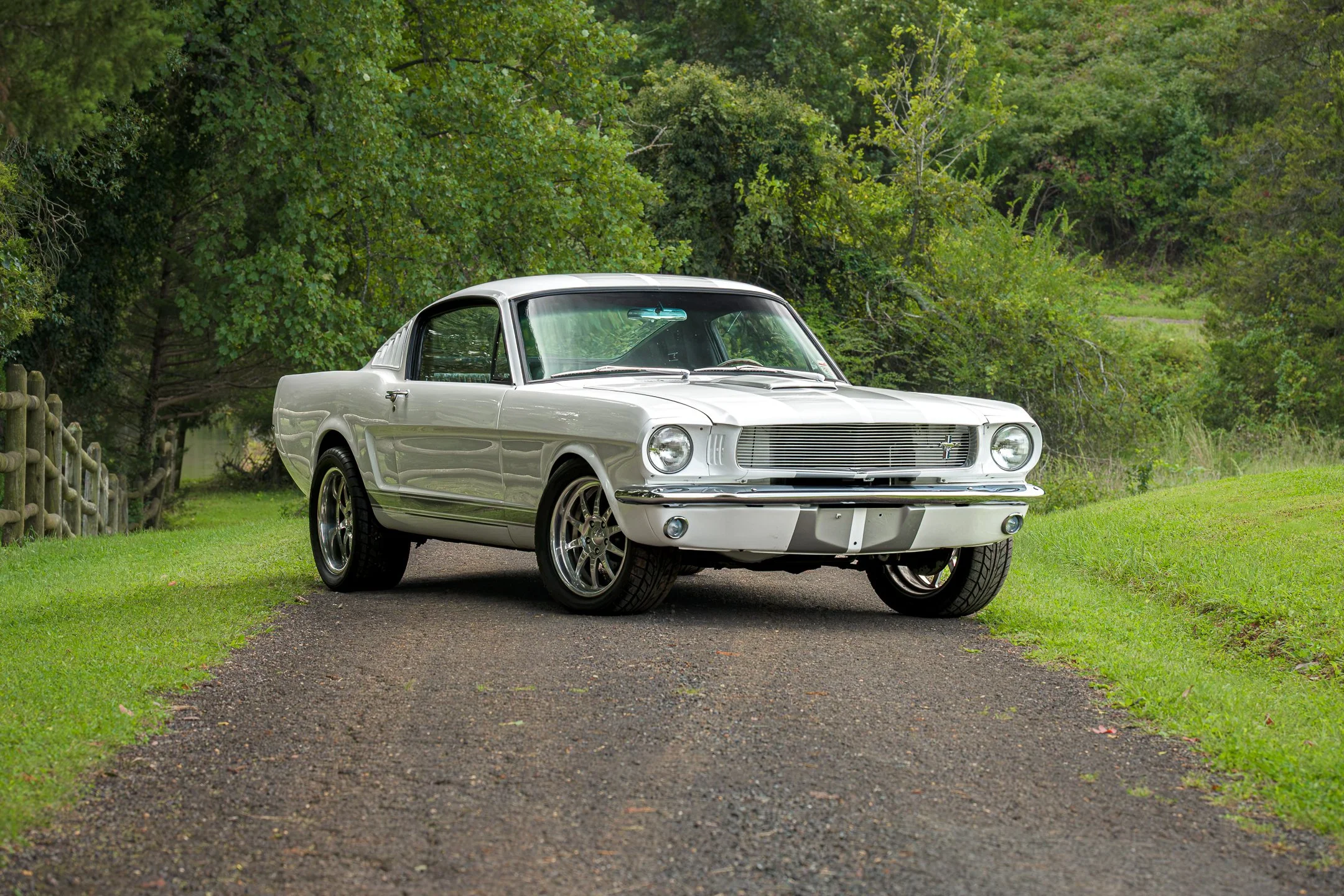 Mustang-5.jpg