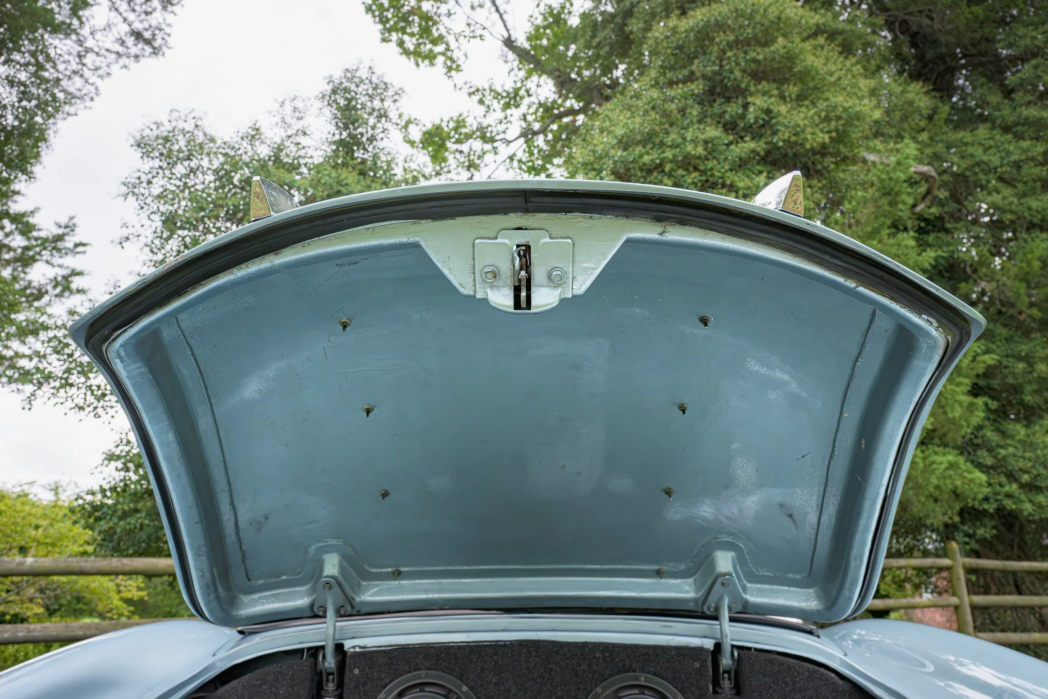 Vette-100.jpg