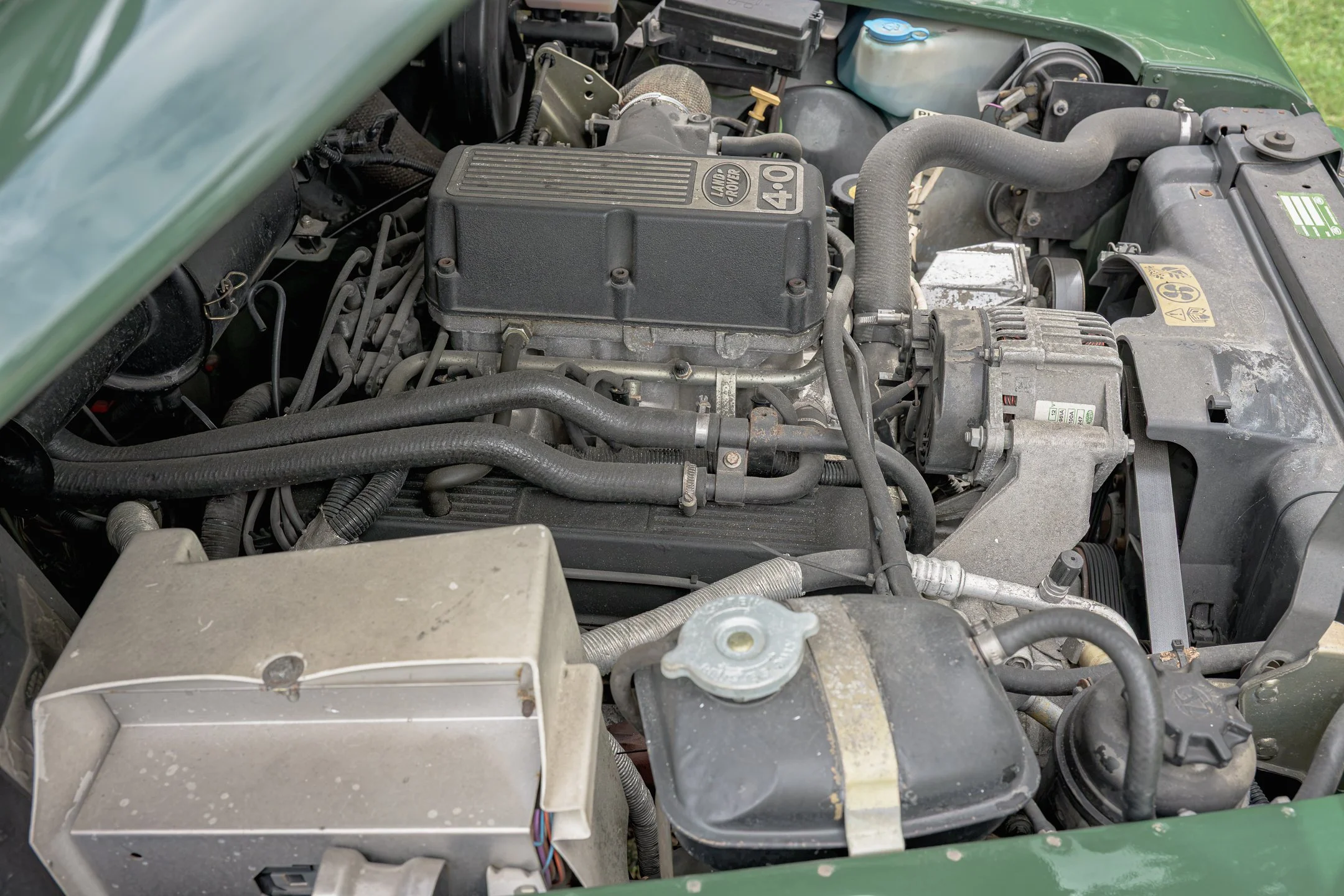 LR-100.jpg