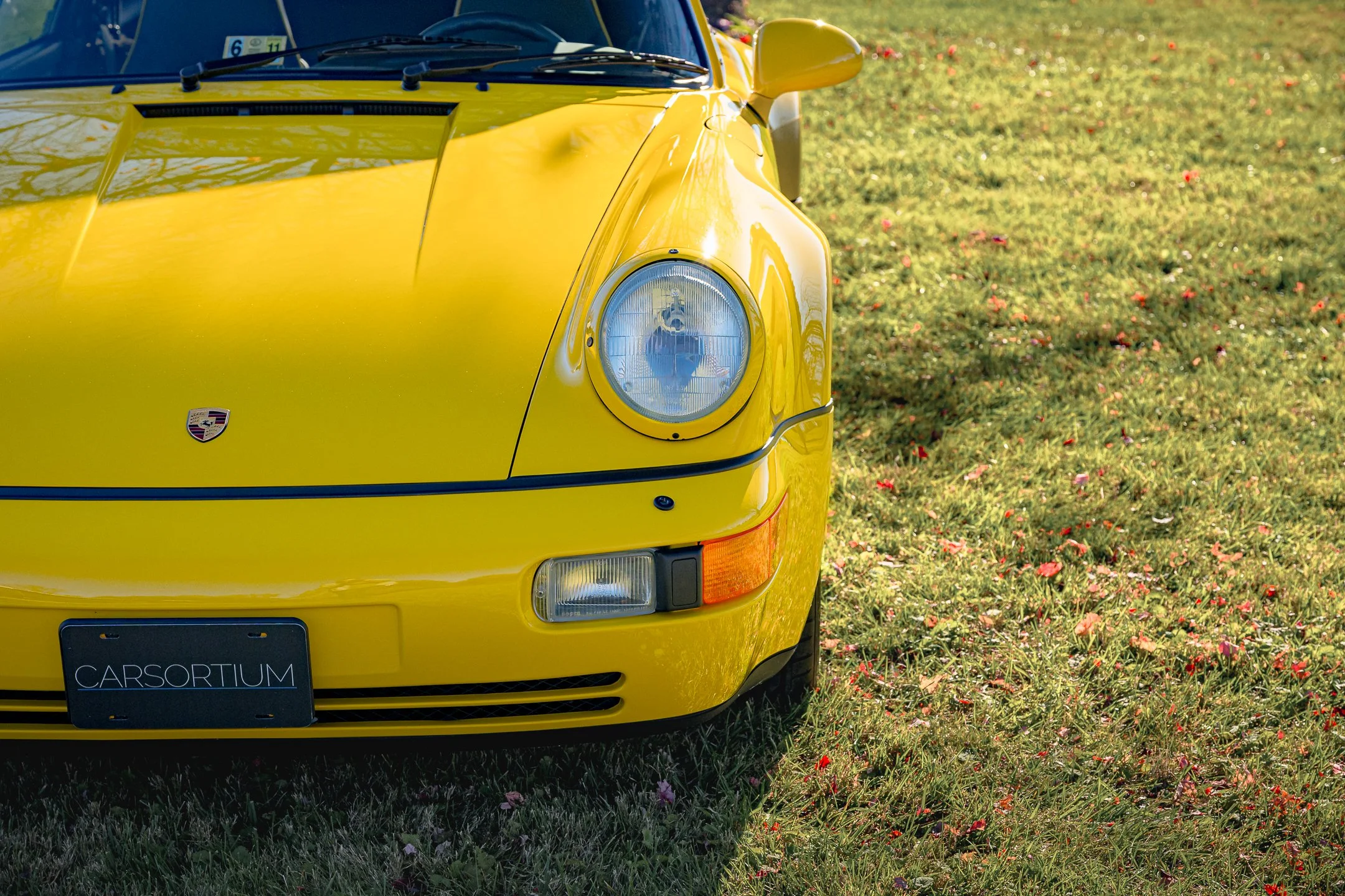 Roadster-24.jpg