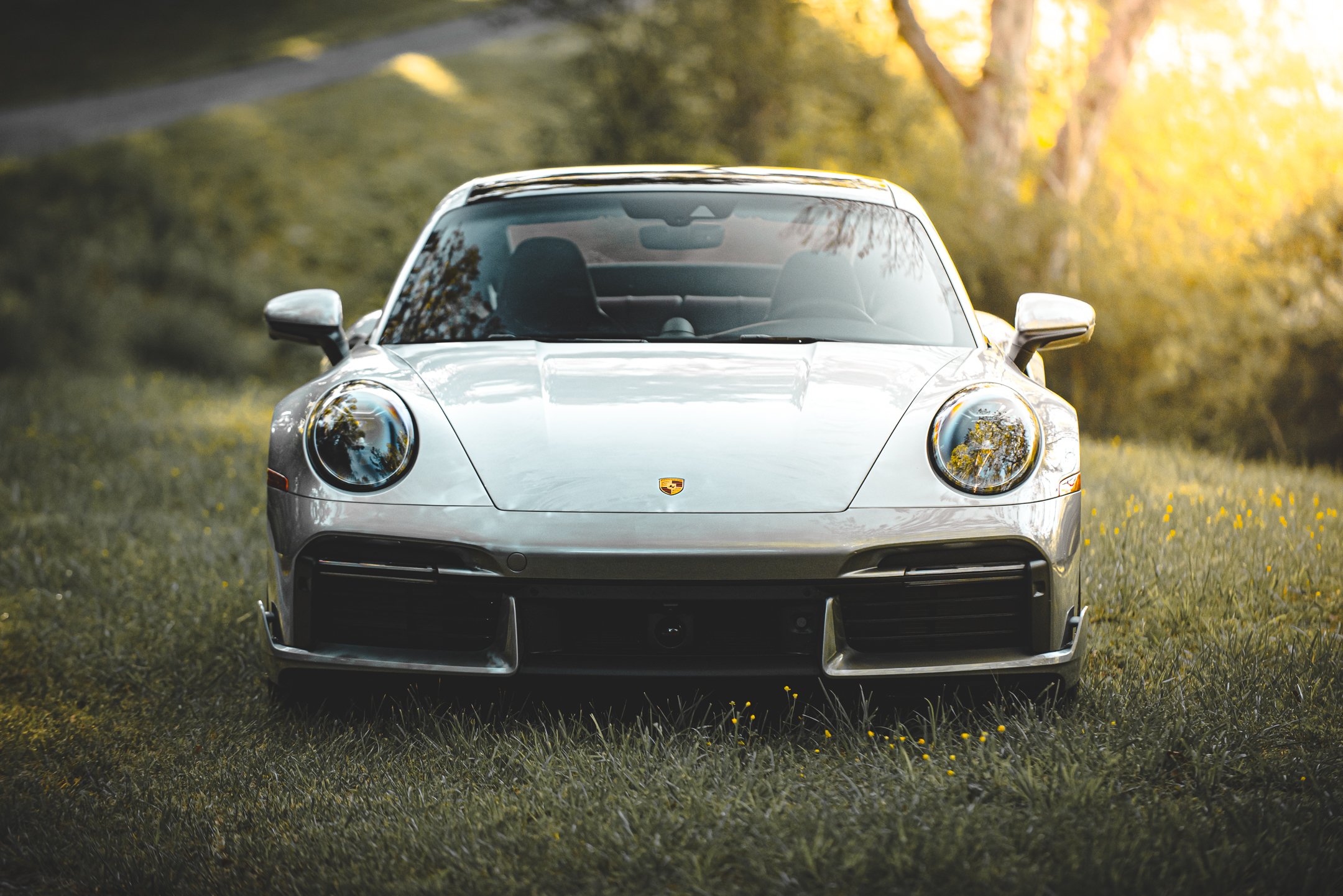 Beauty-6.jpg