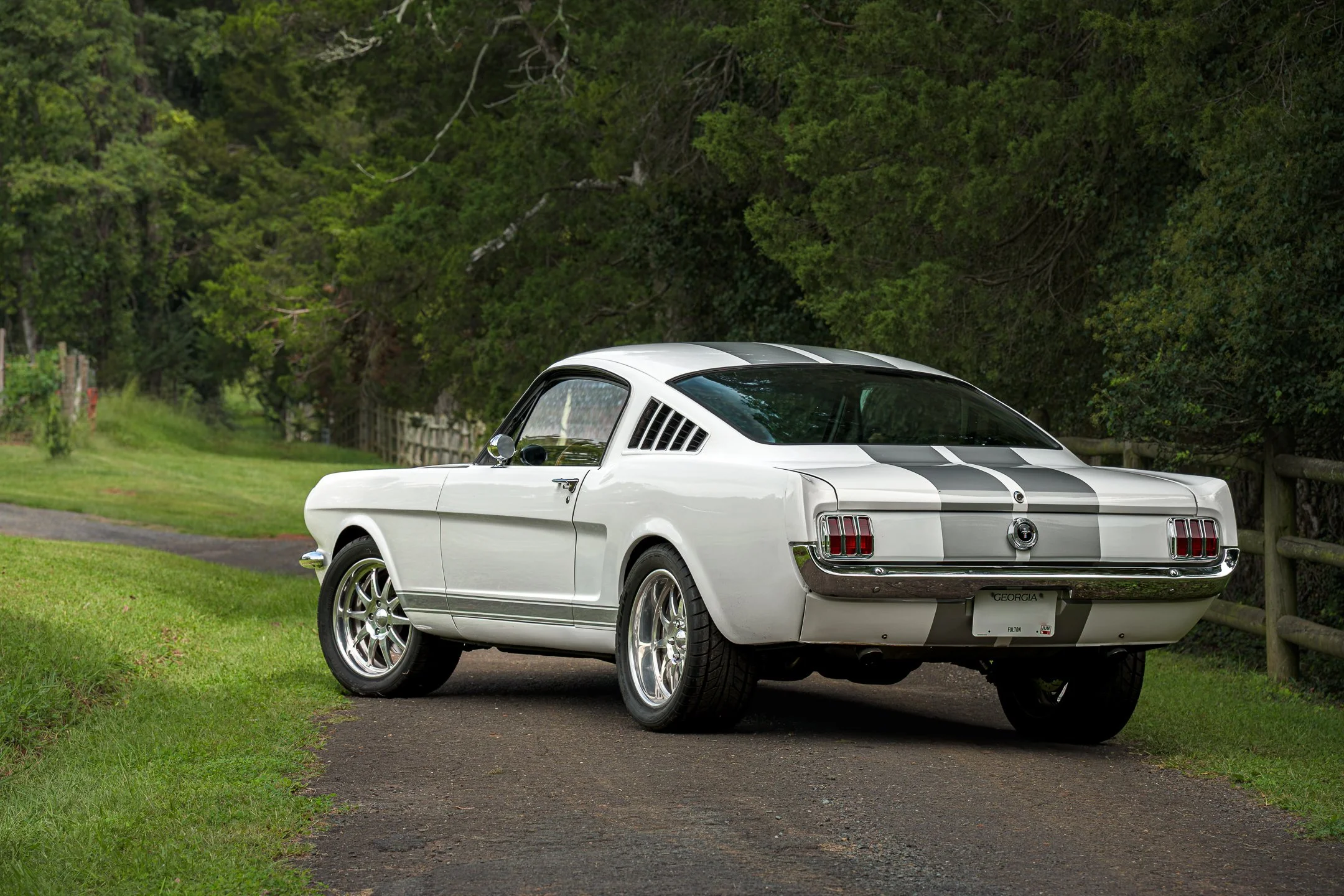 Mustang-6.jpg