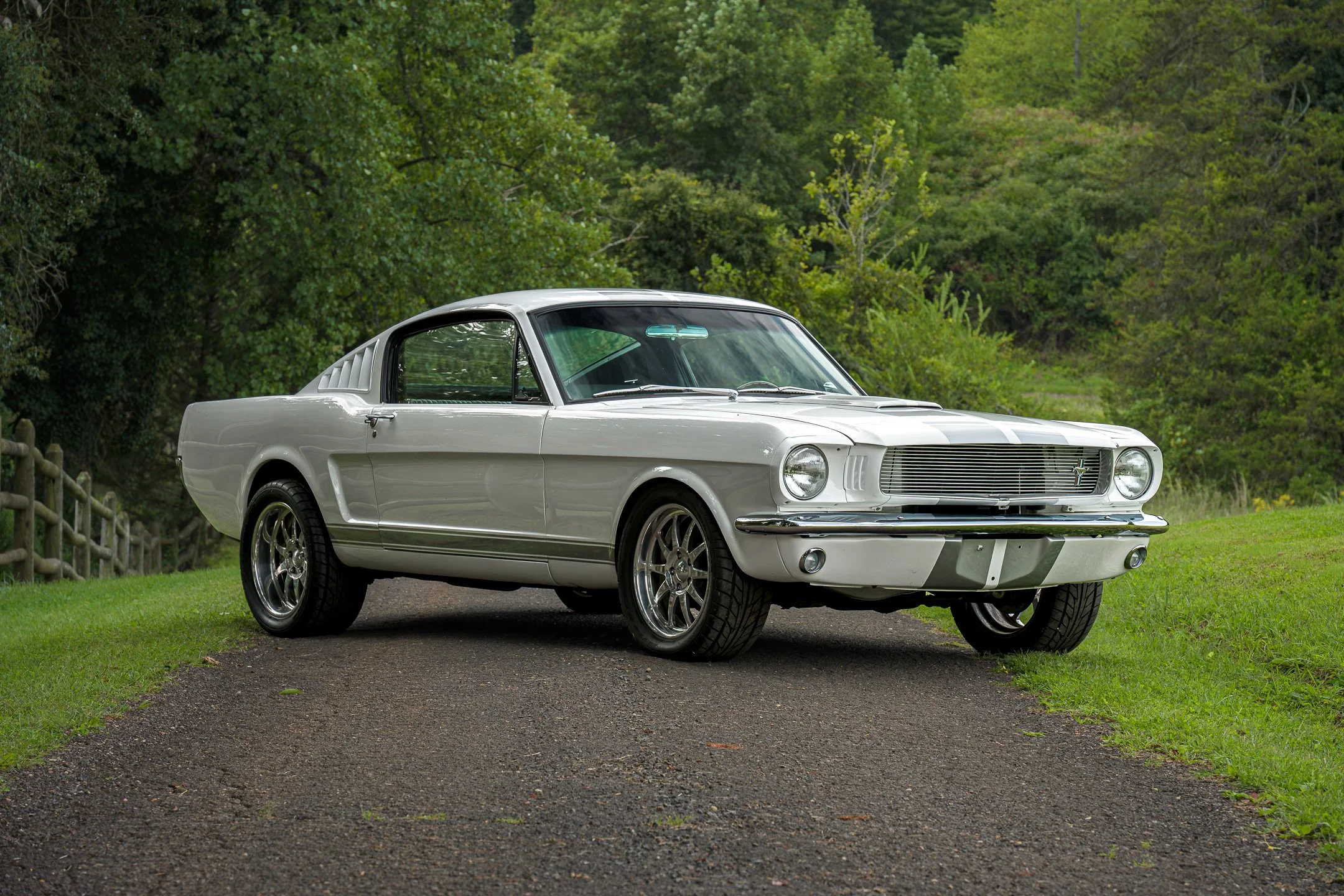 Mustang-14.jpg