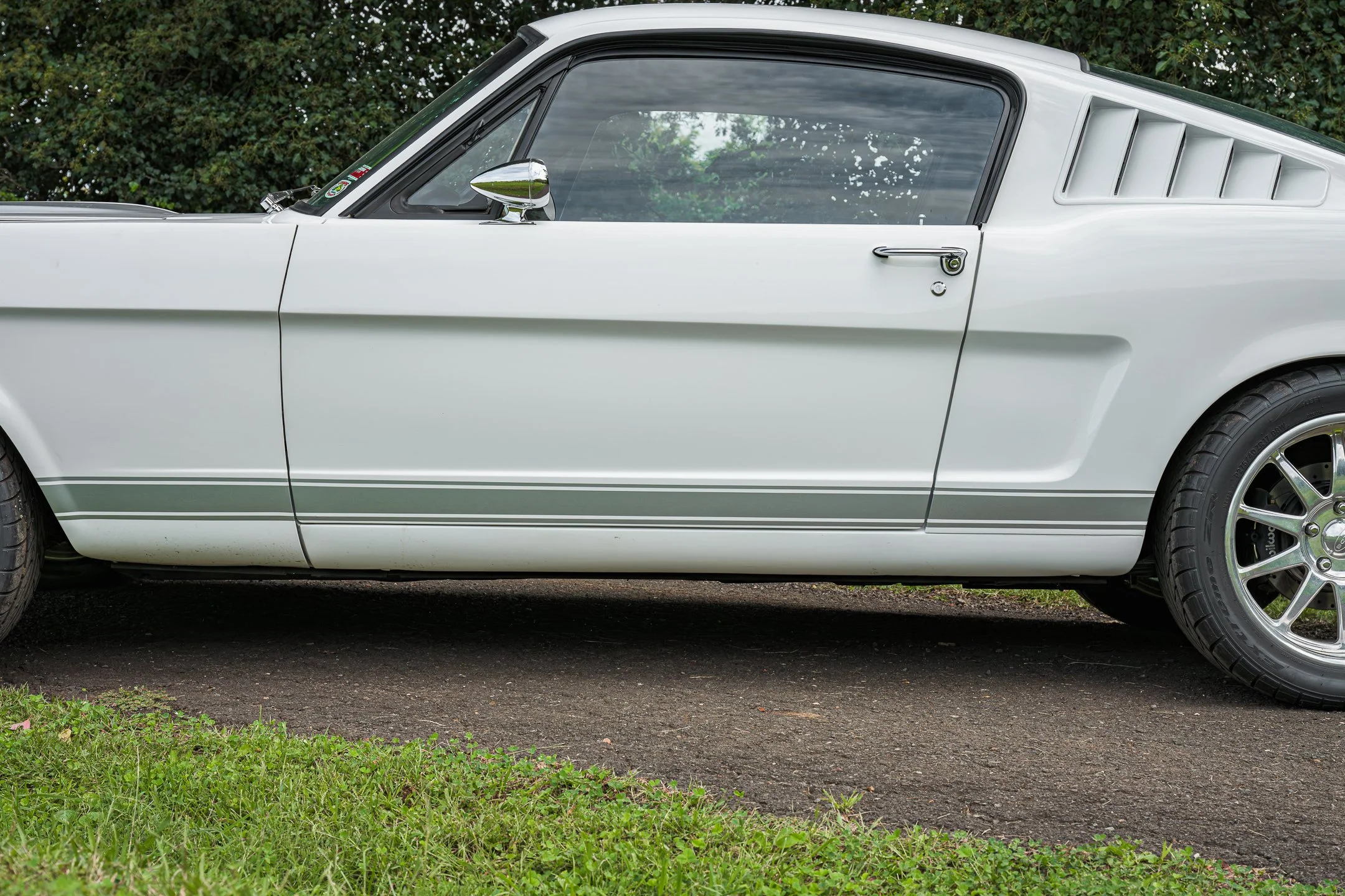 Mustang-33.jpg