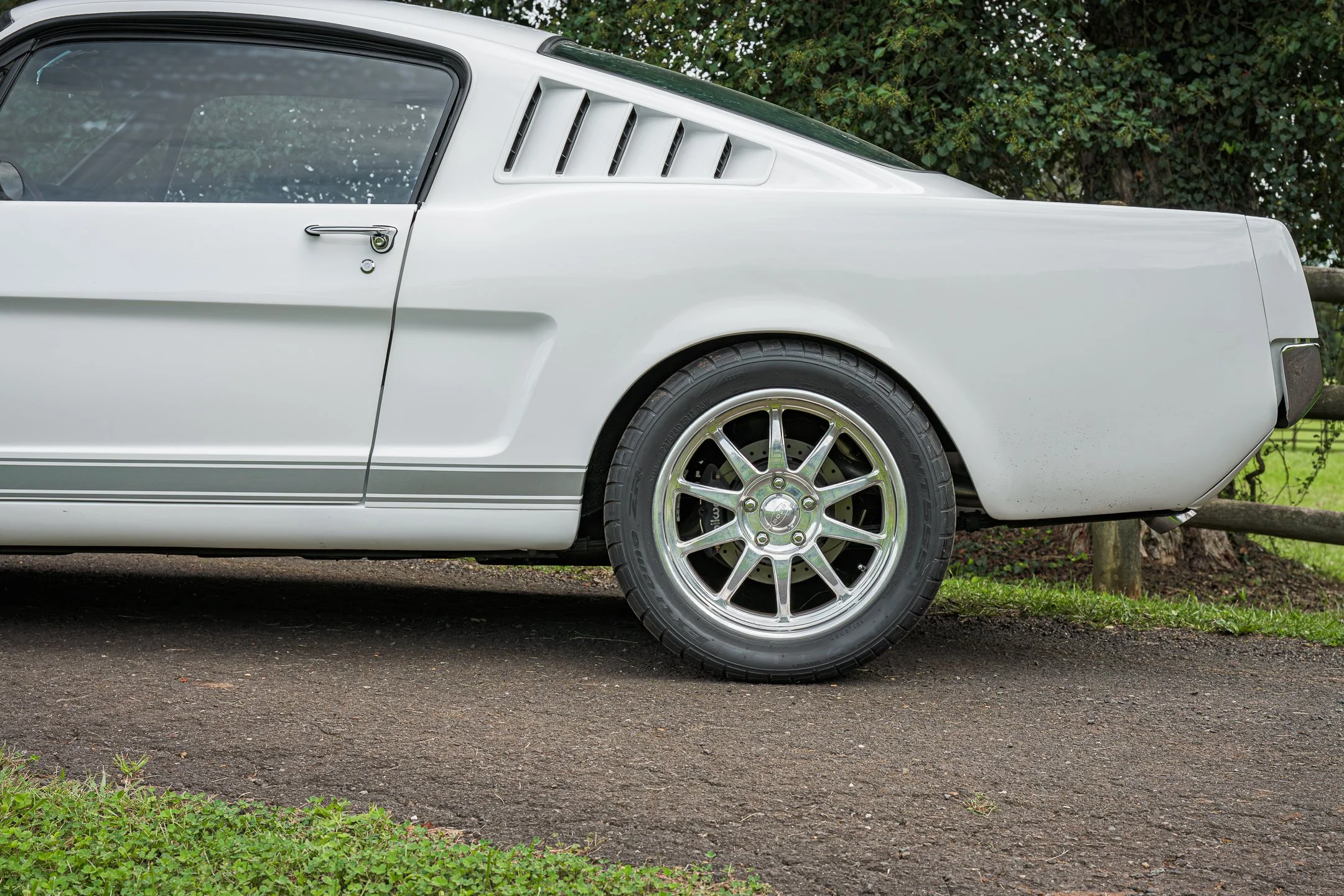 Mustang-34.jpg