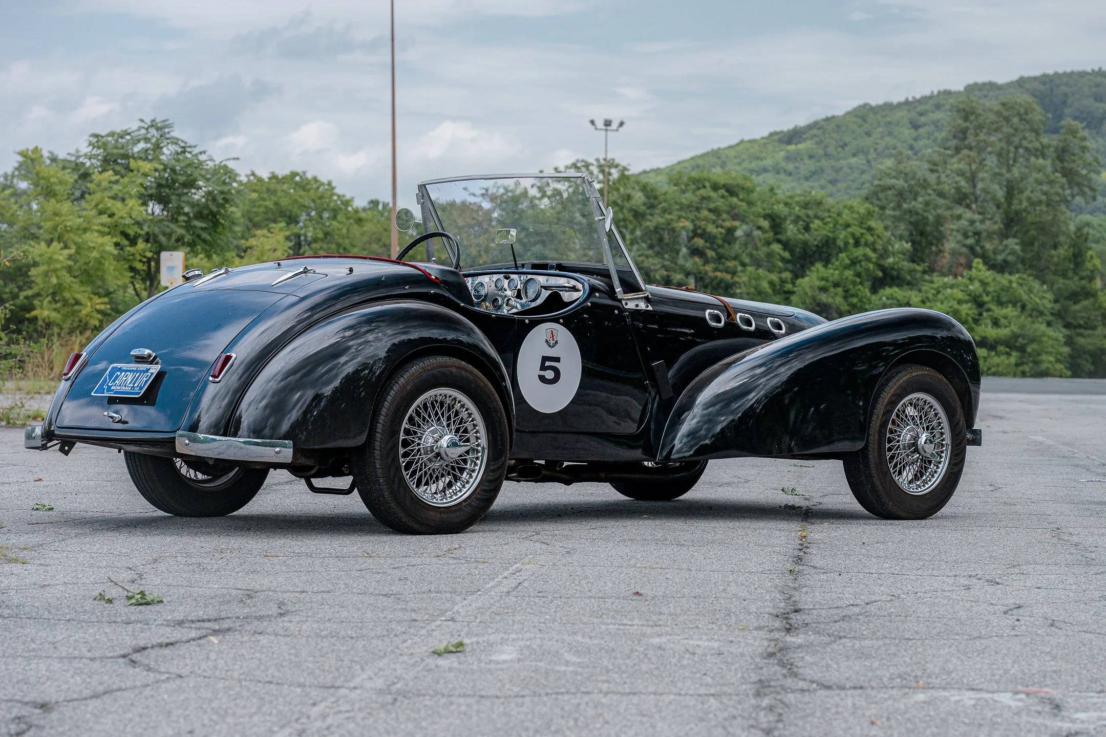ALLARD-13a.jpg