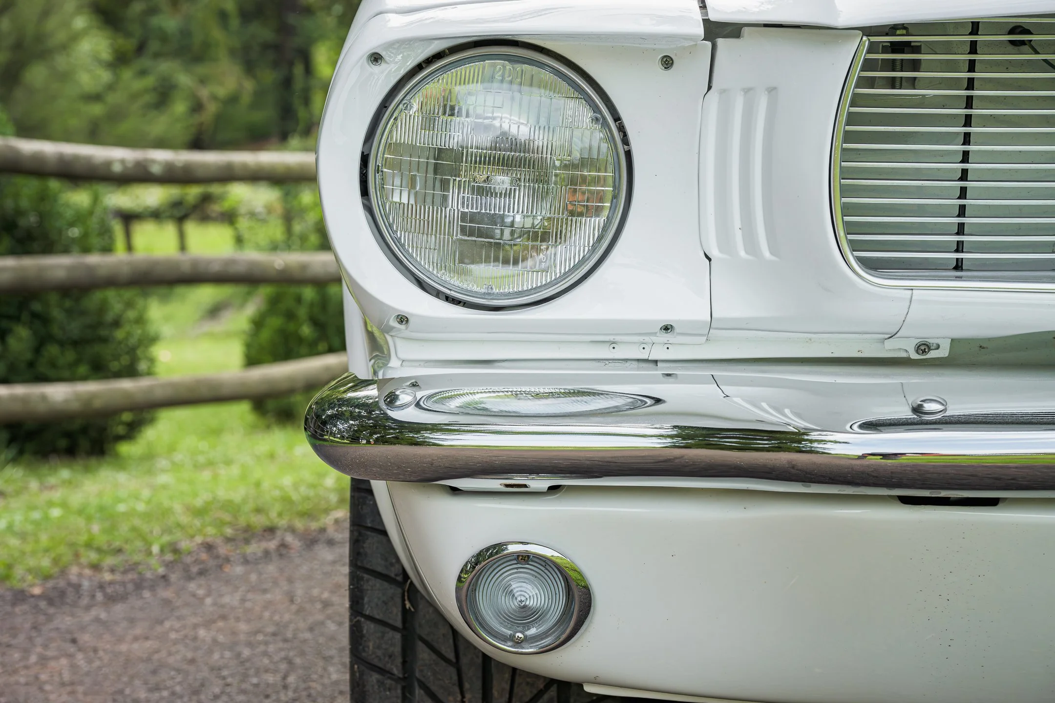 Mustang-49.jpg