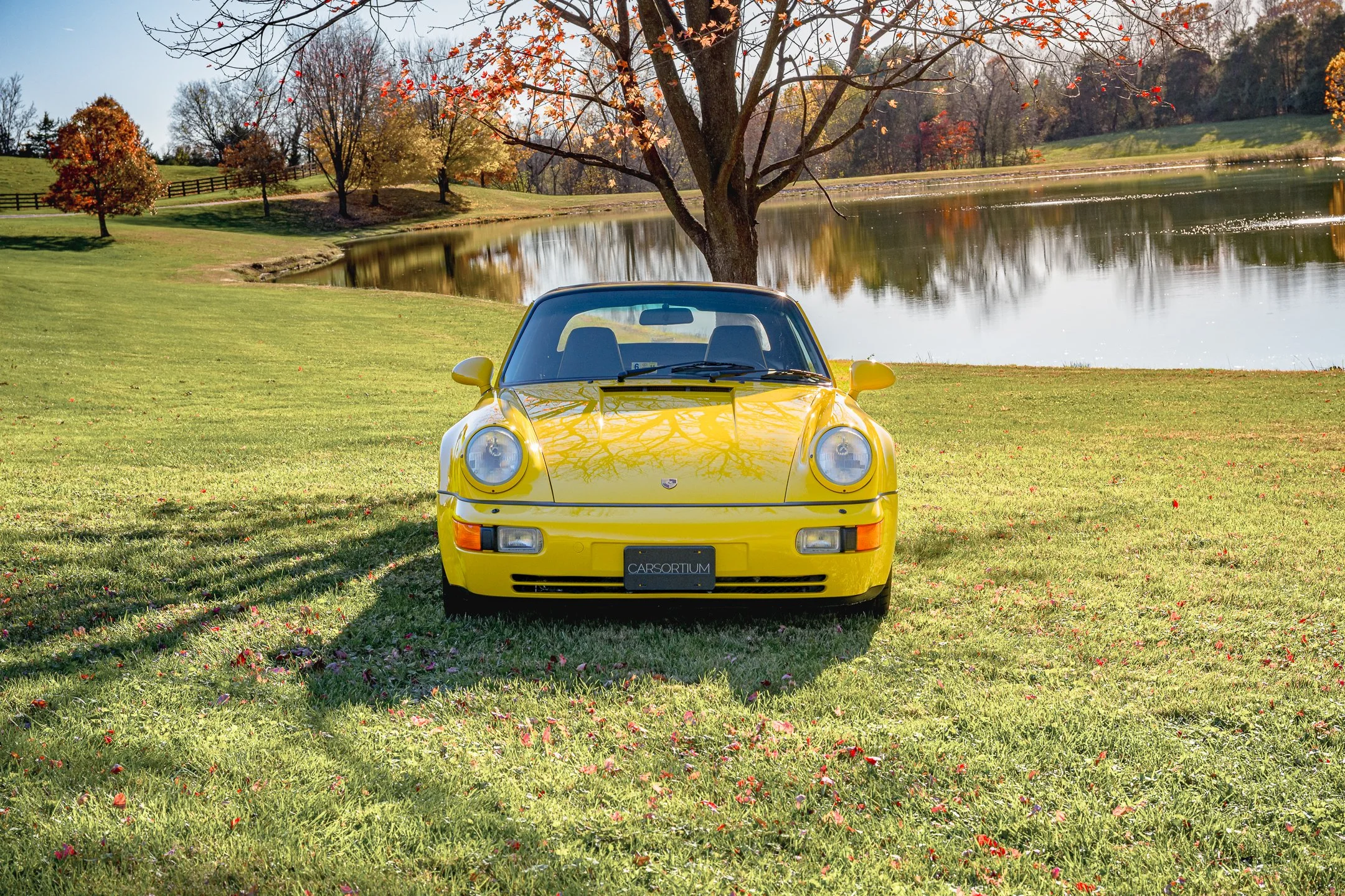 Roadster-15.jpg