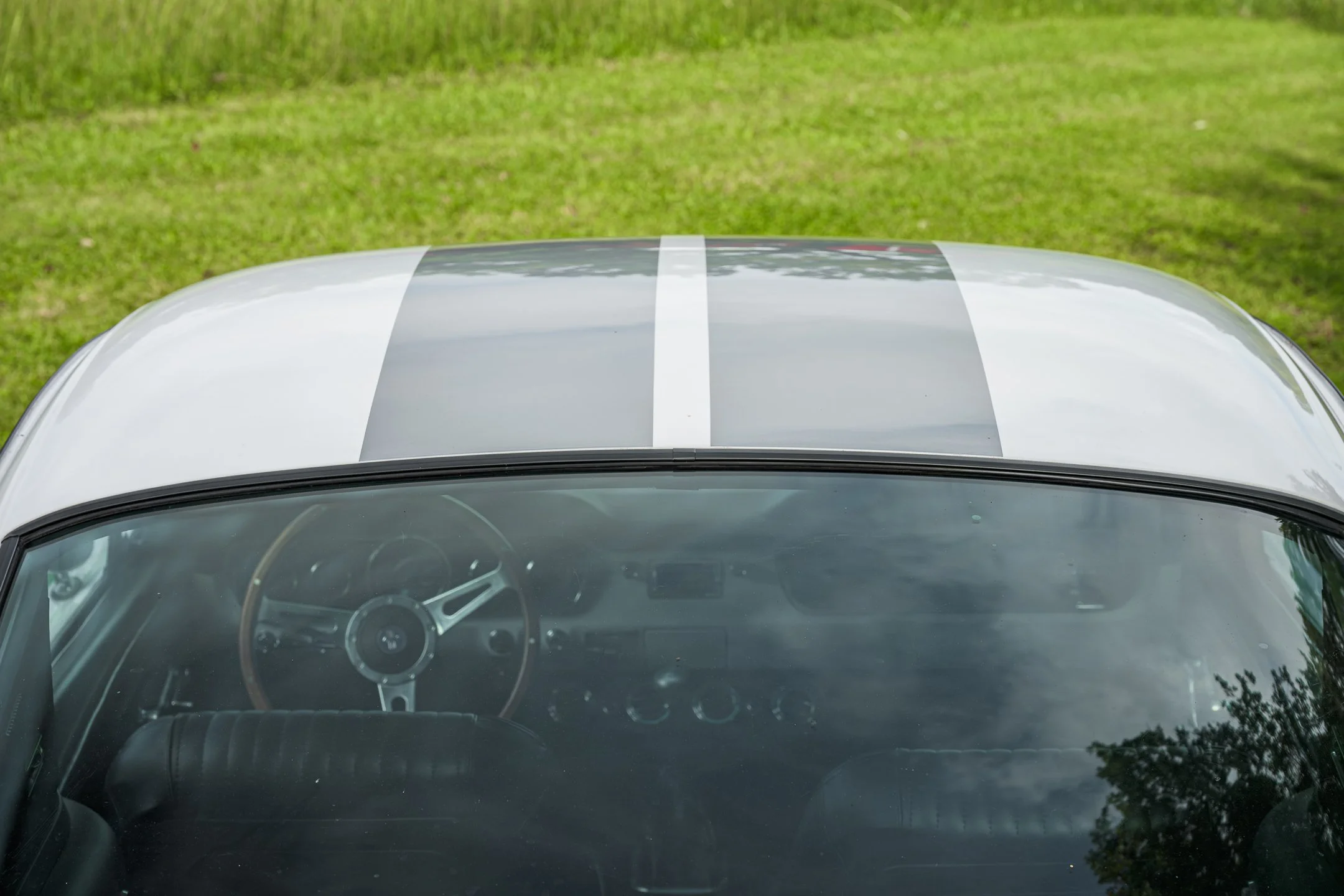 Mustang-23.jpg
