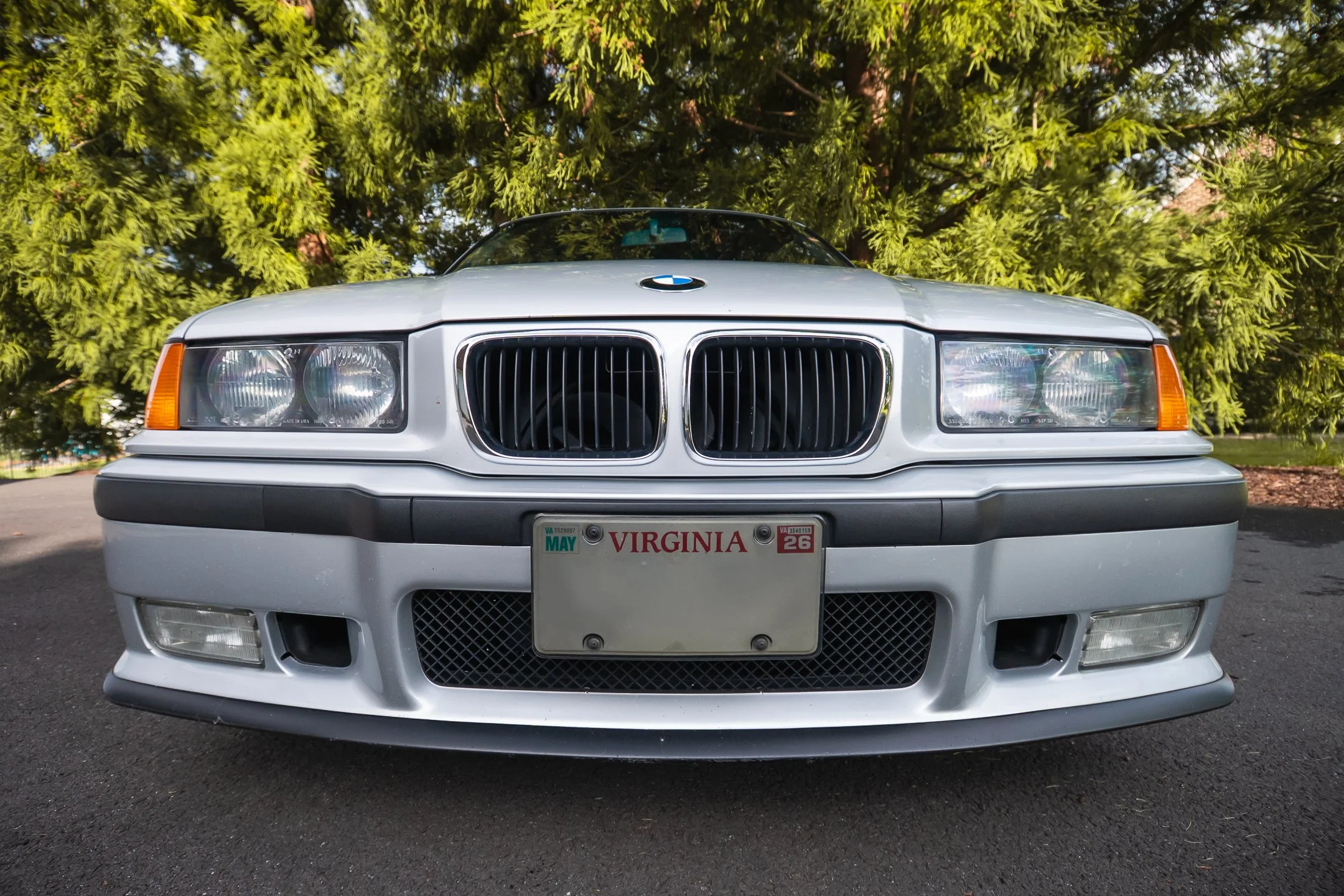 M3-16.jpg
