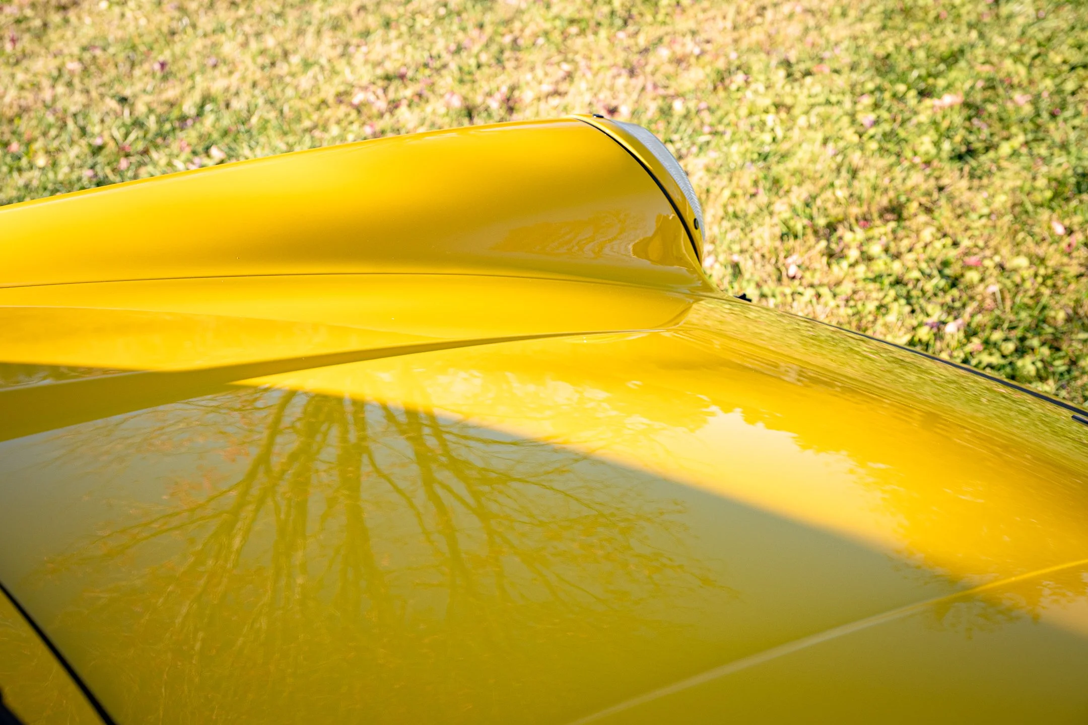 Roadster-92.jpg