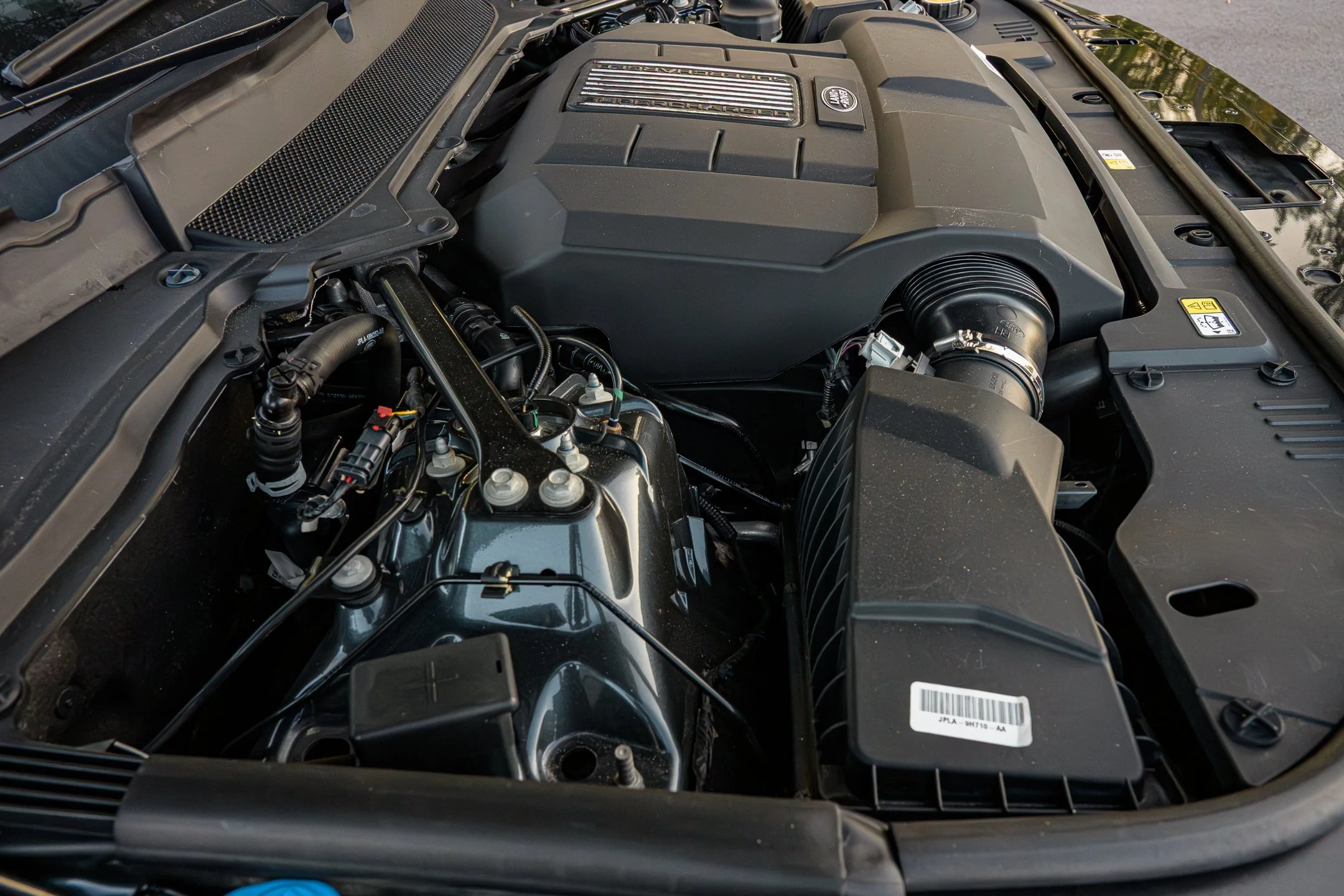 RR-124.jpg