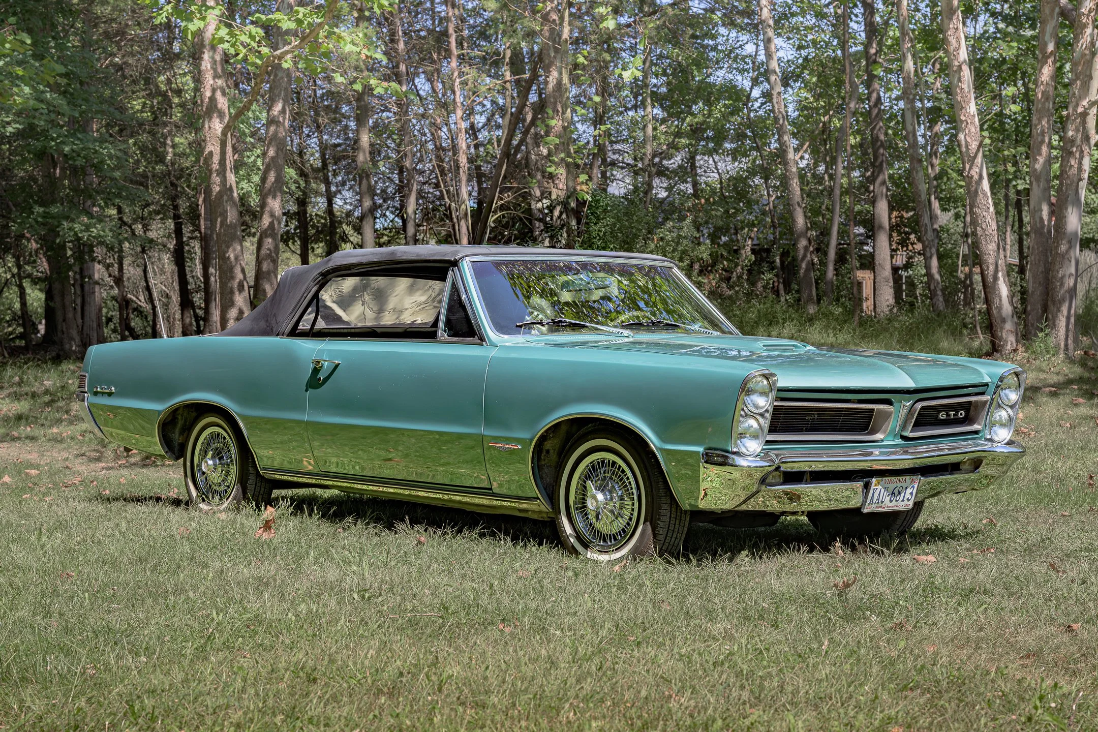GTO-10.jpg