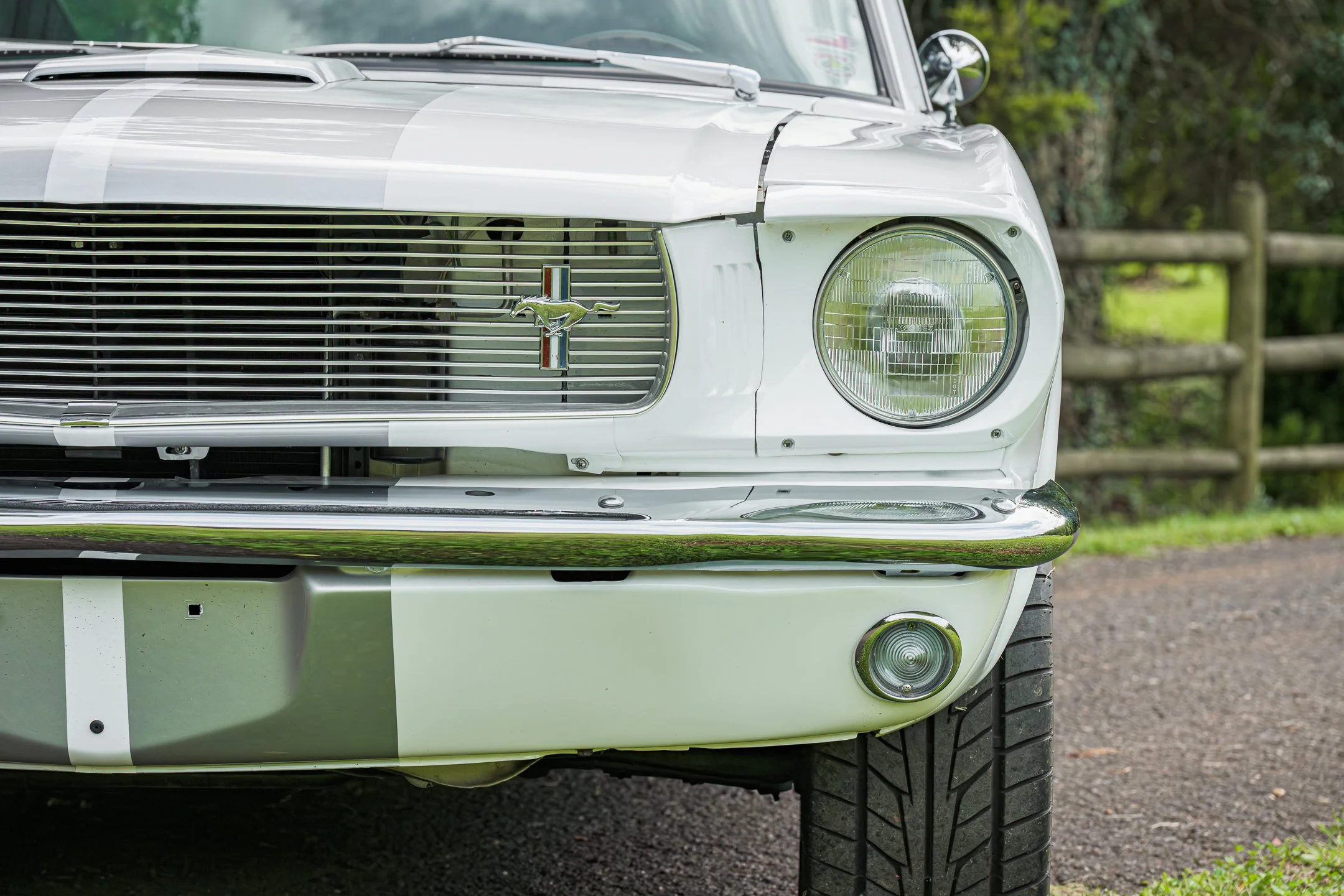 Mustang-28.jpg