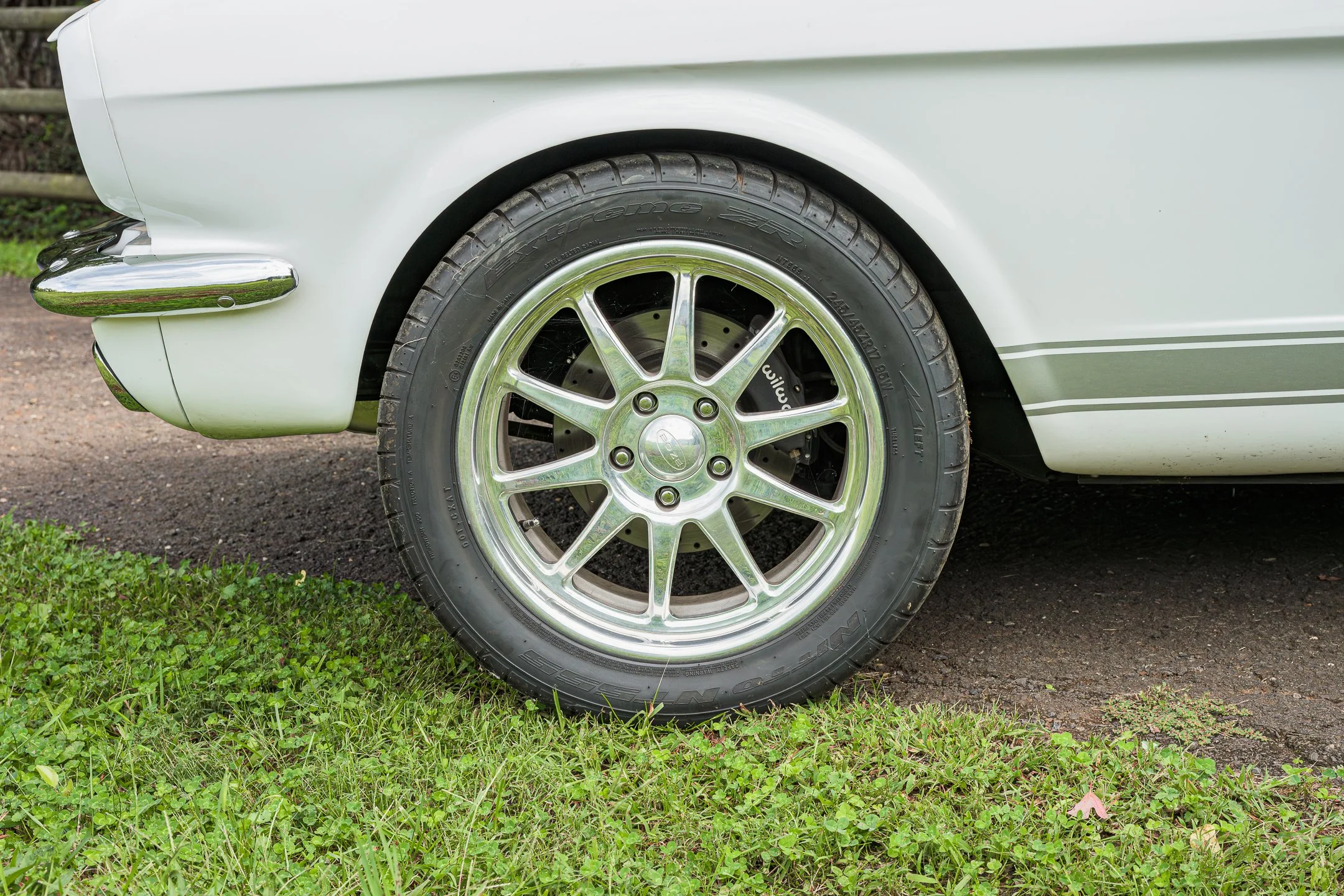 Mustang-50.jpg