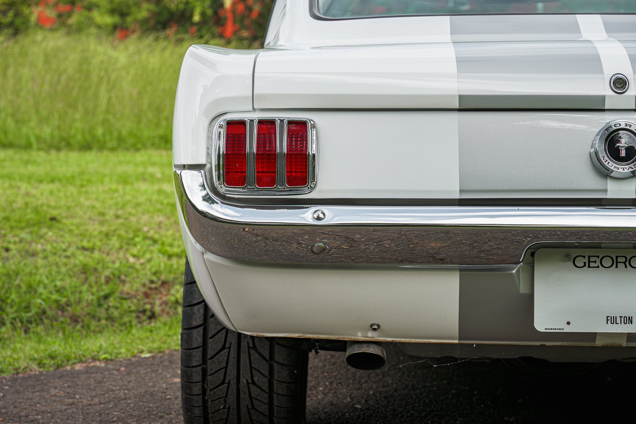 Mustang-29.jpg