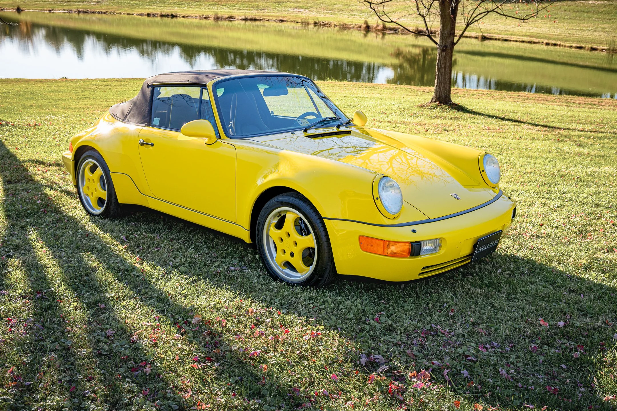 Roadster-16.jpg