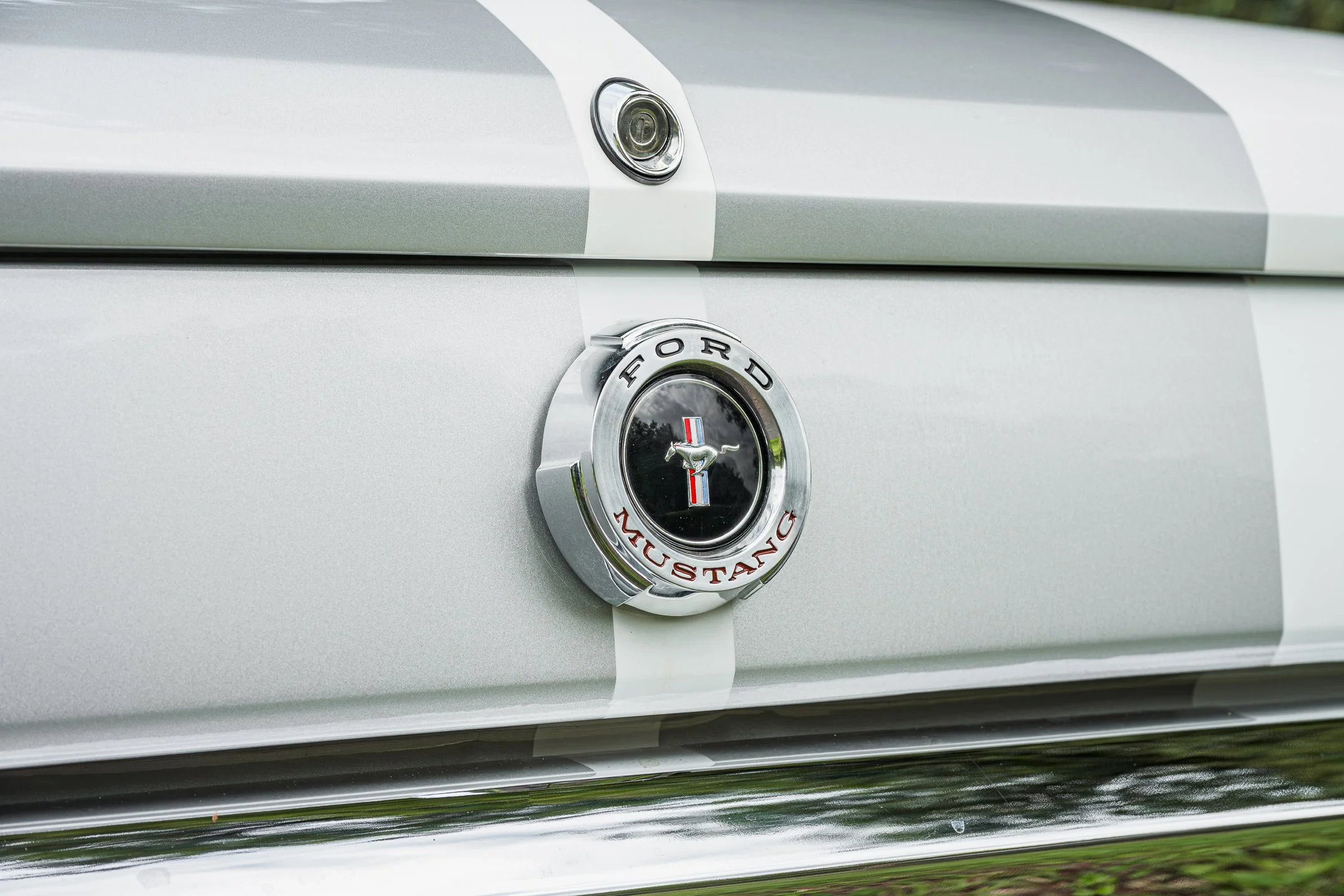 Mustang-44.jpg