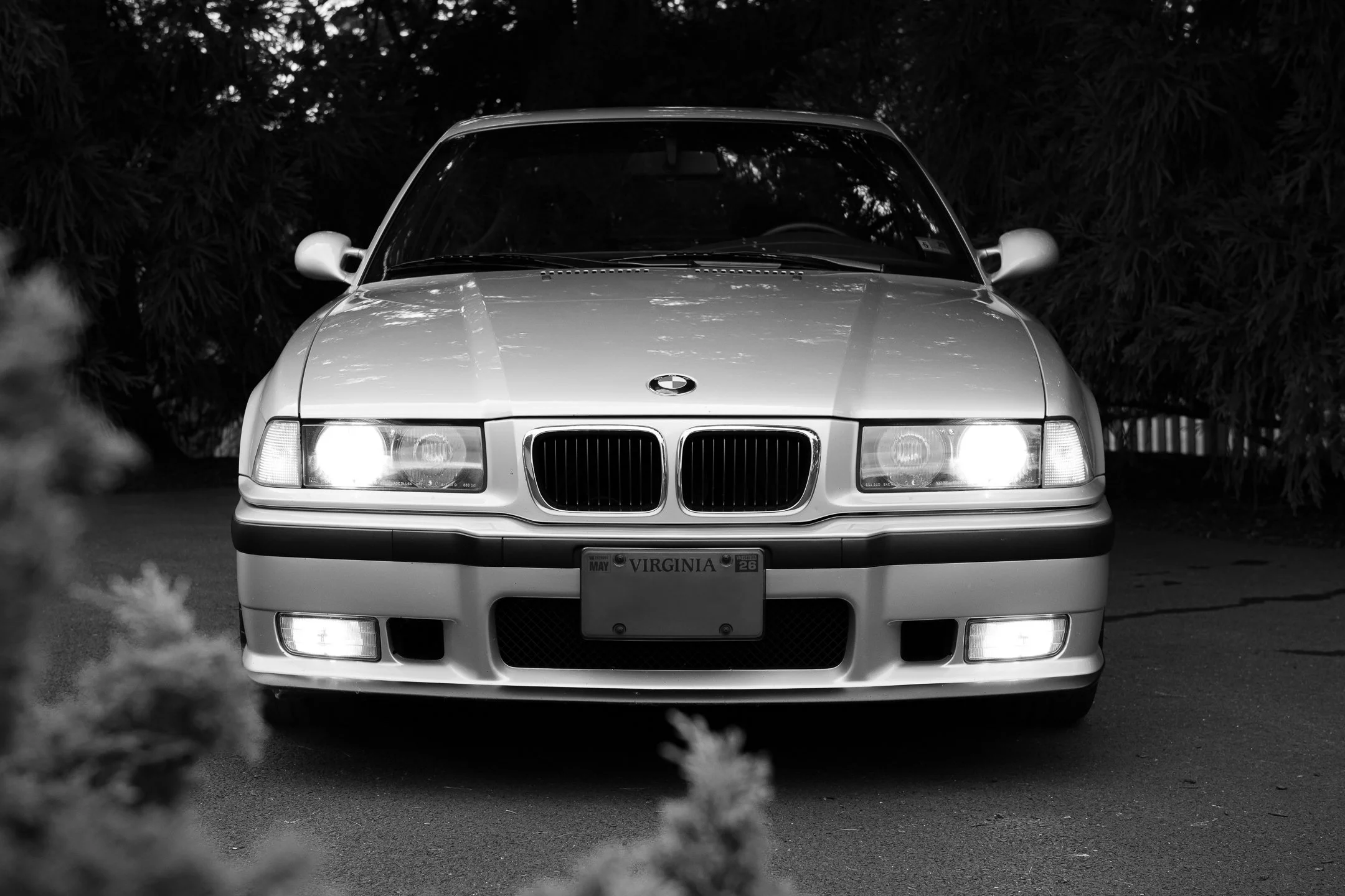 M3-6.jpg