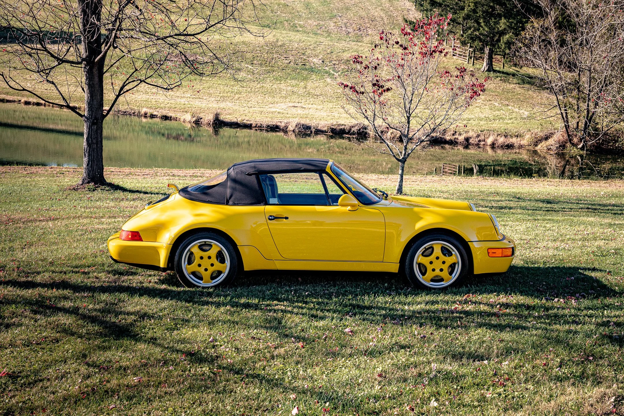 Roadster-9.jpg