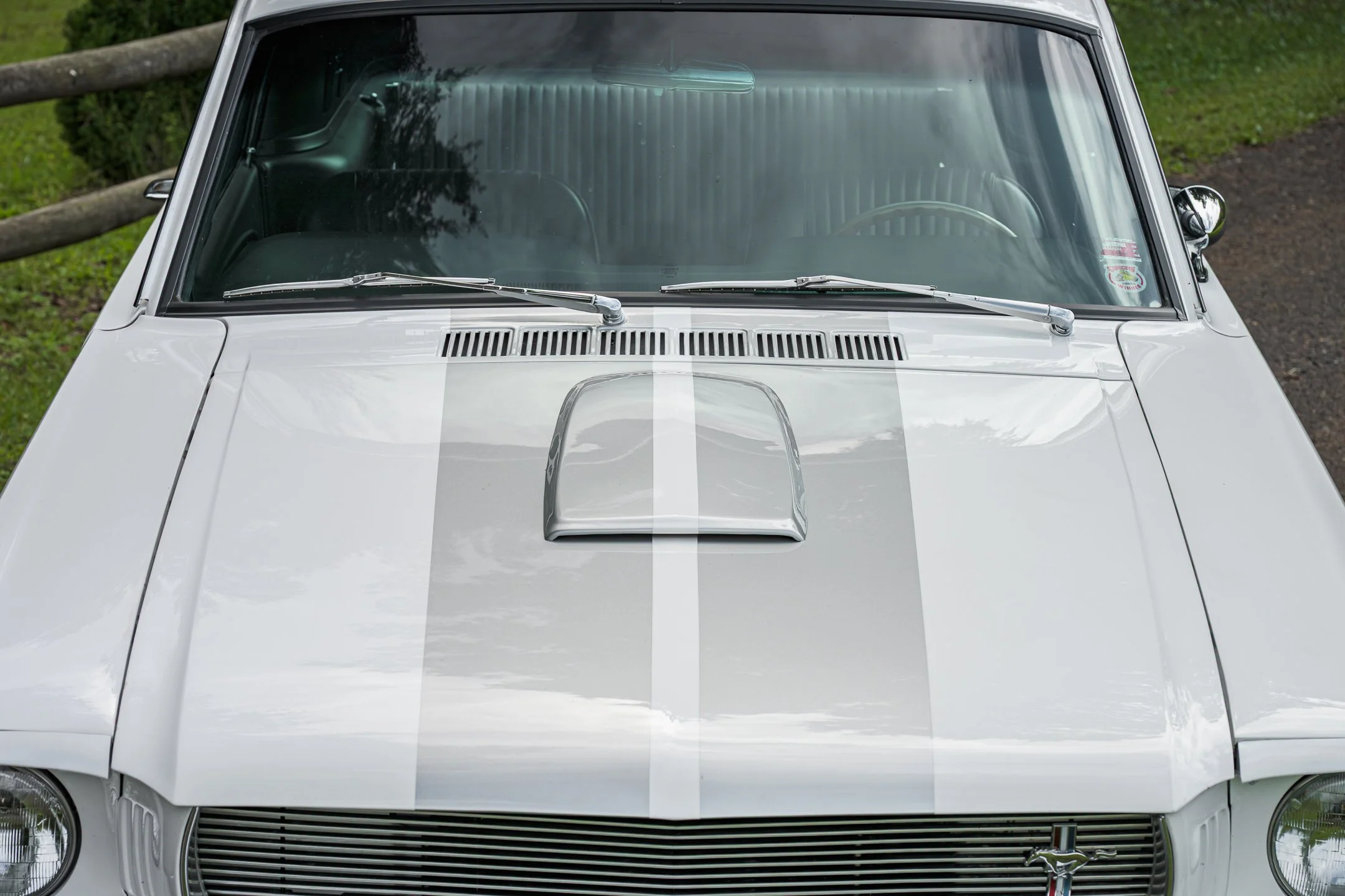 Mustang-21.jpg