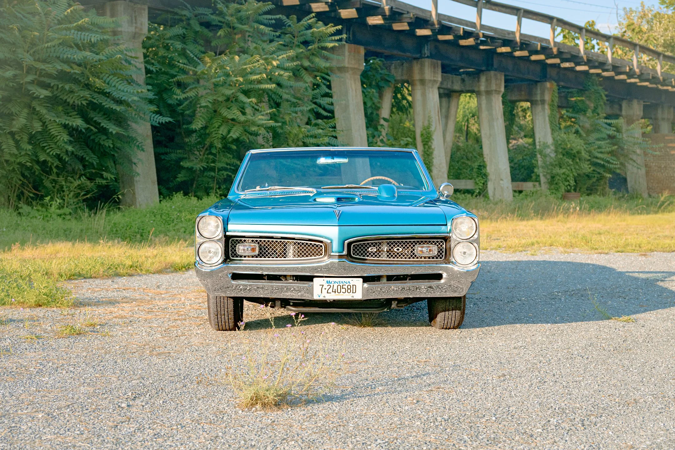 GTO-13.jpg