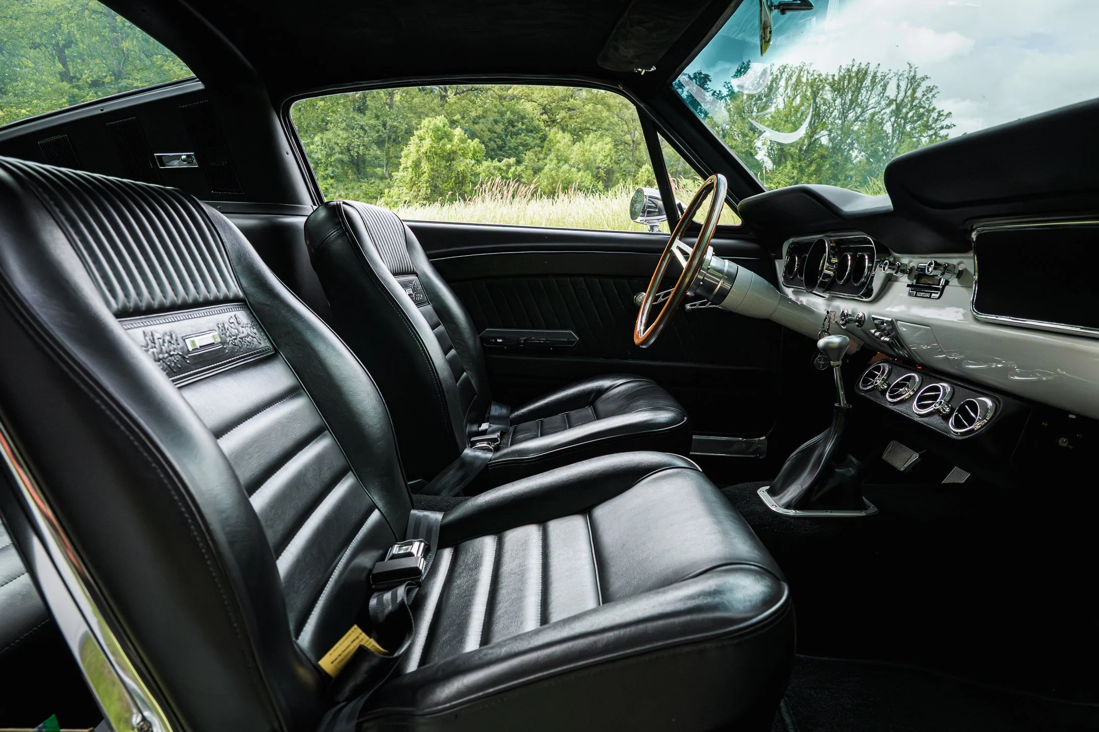 Mustang-78.jpg