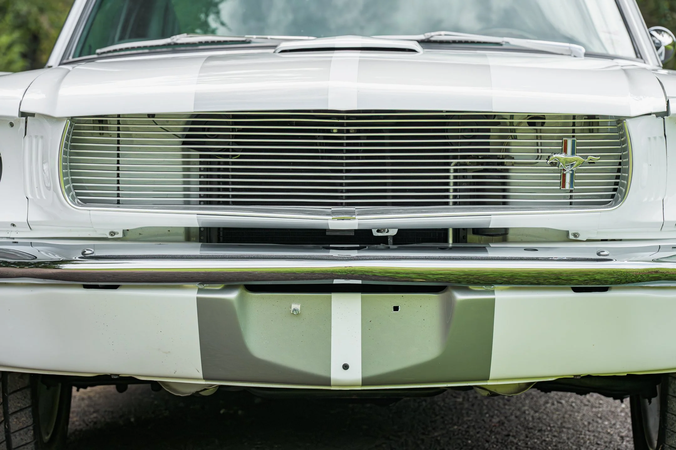 Mustang-27.jpg