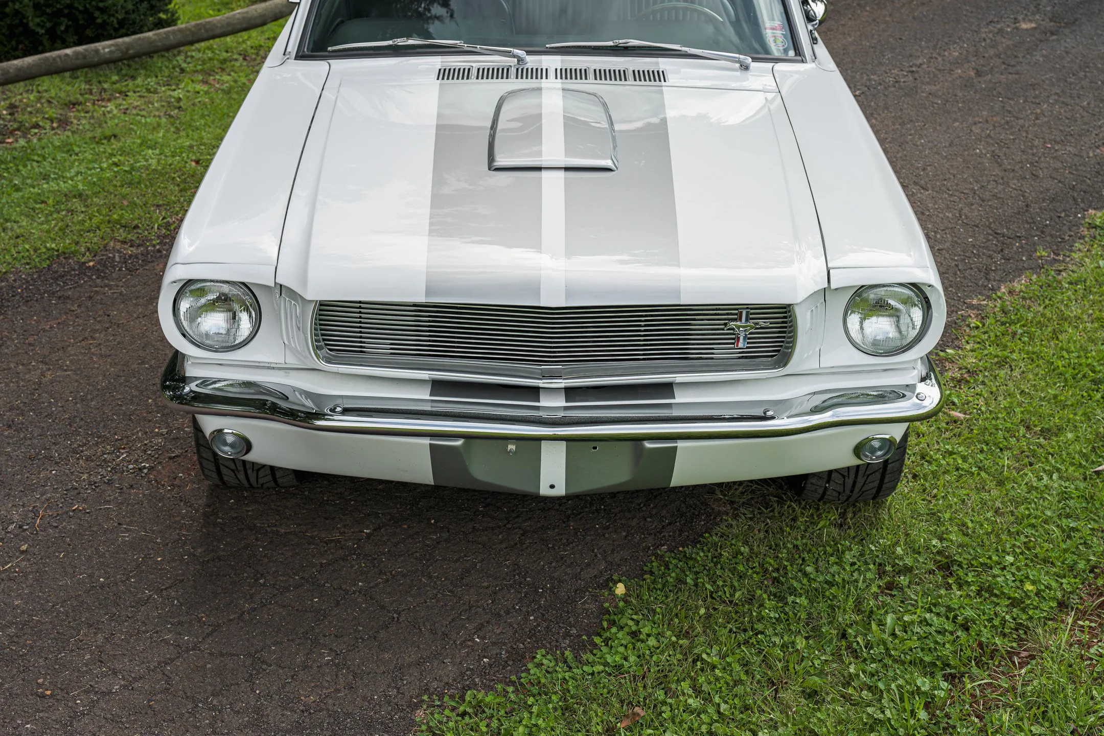 Mustang-20.jpg