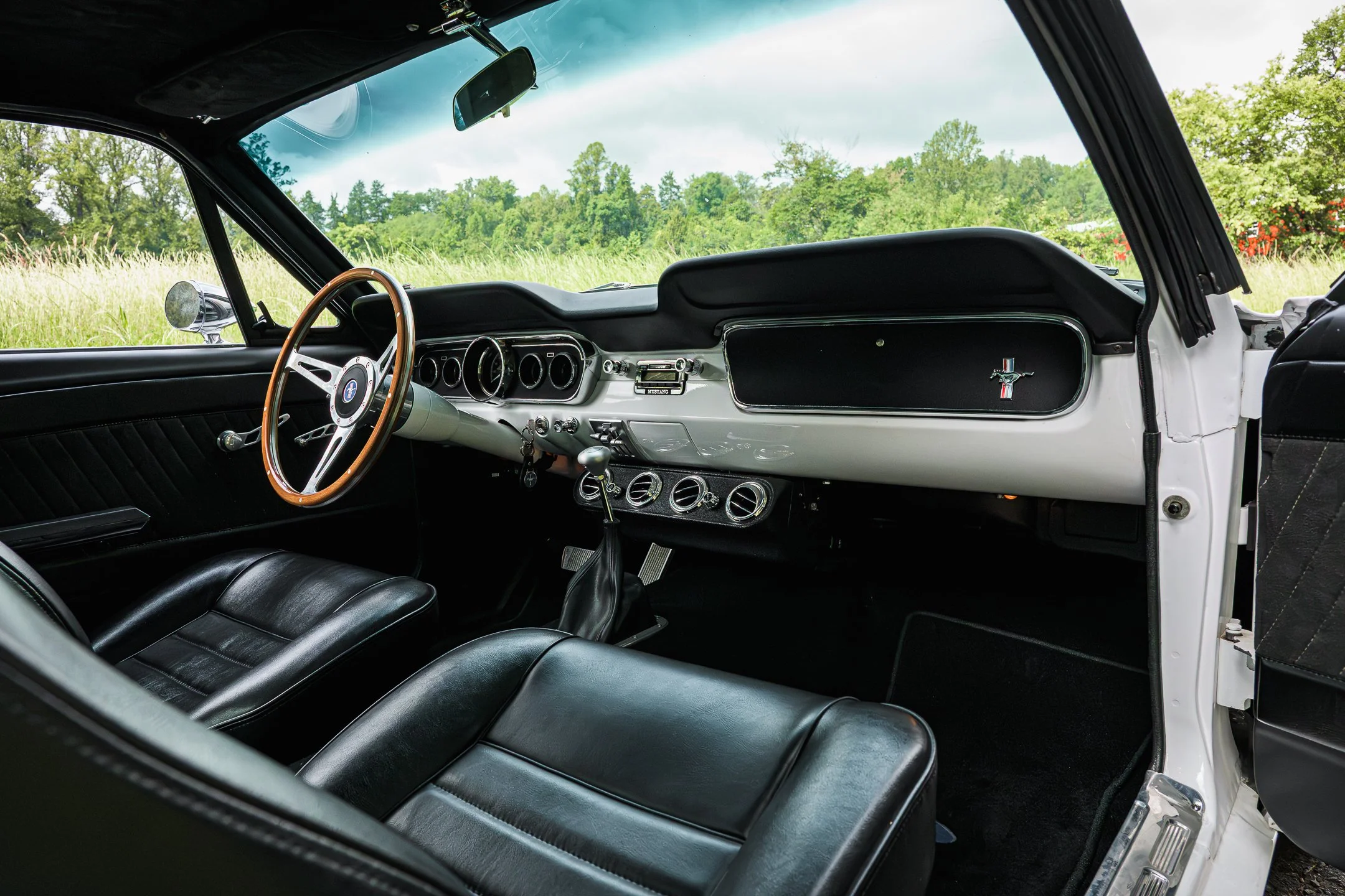 Mustang-77.jpg
