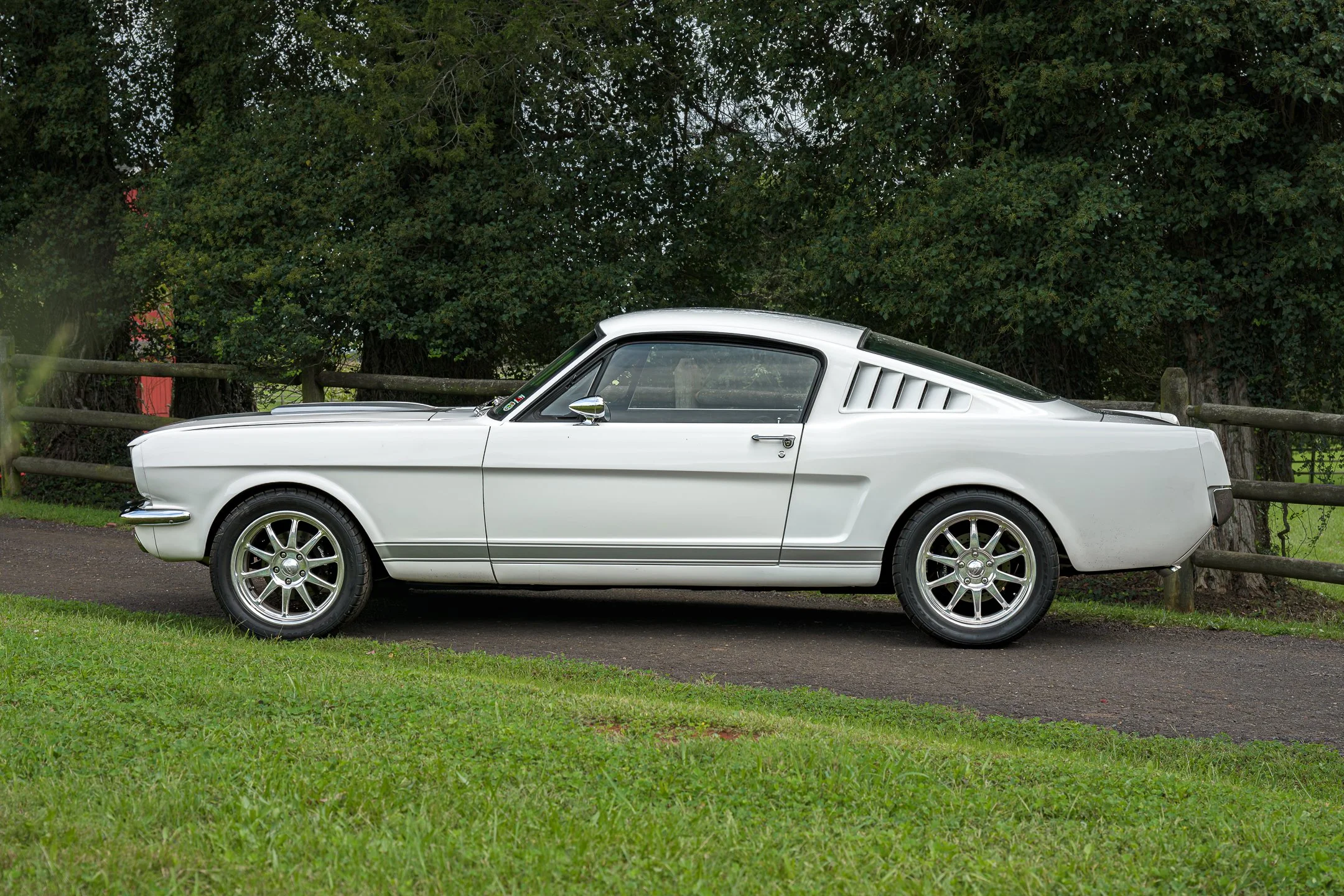 Mustang-19.jpg